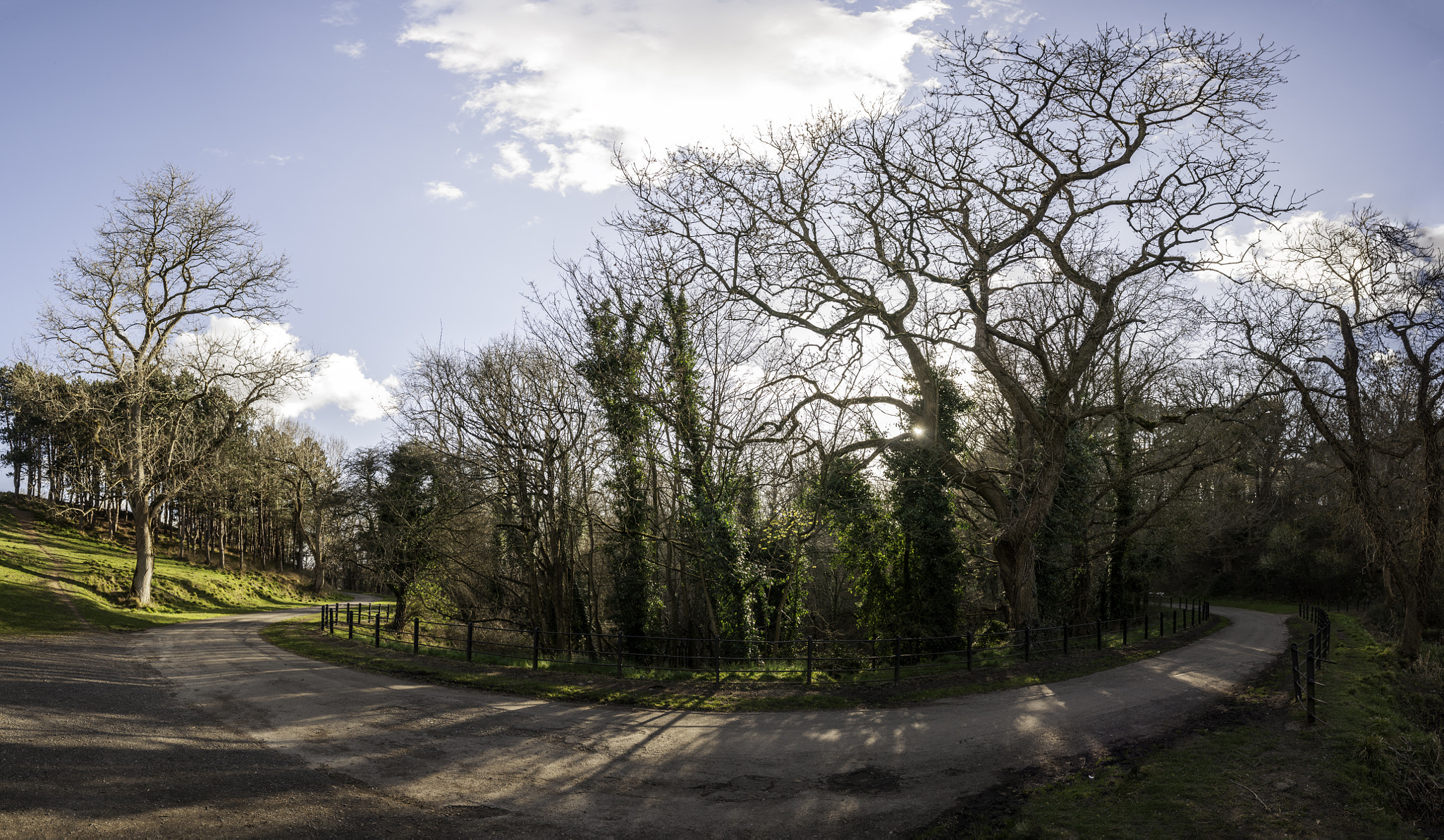 Nikon D90 + Sigma 17-70mm F2.8-4 DC Macro OS HSM | C sample photo. Phoenix park dublin photography