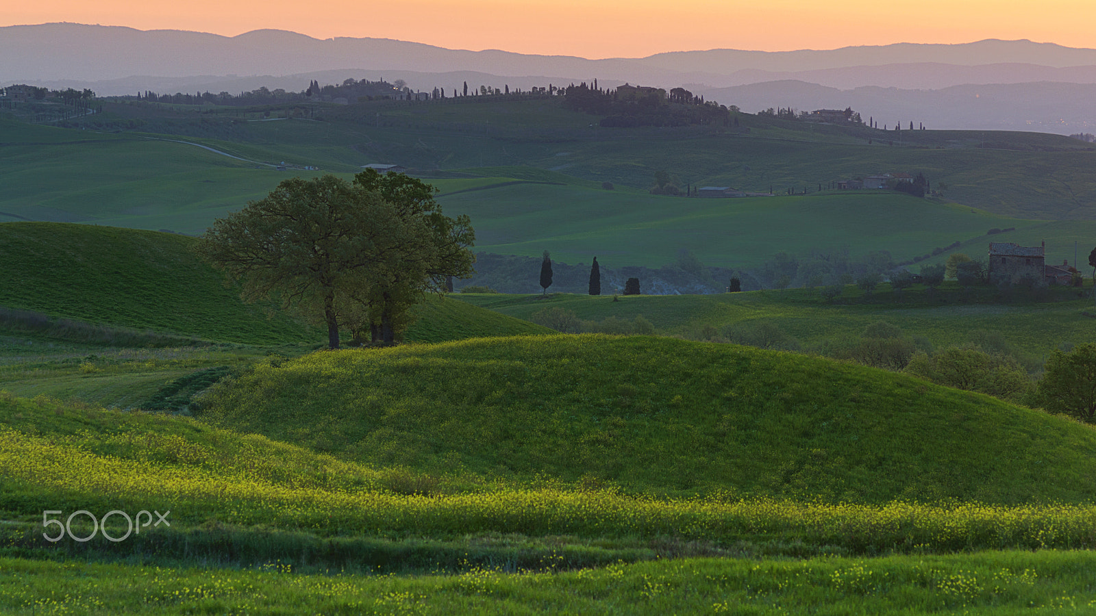 Nikon D90 + Nikon AF Nikkor 180mm F2.8D ED-IF sample photo. Val d'orcia photography