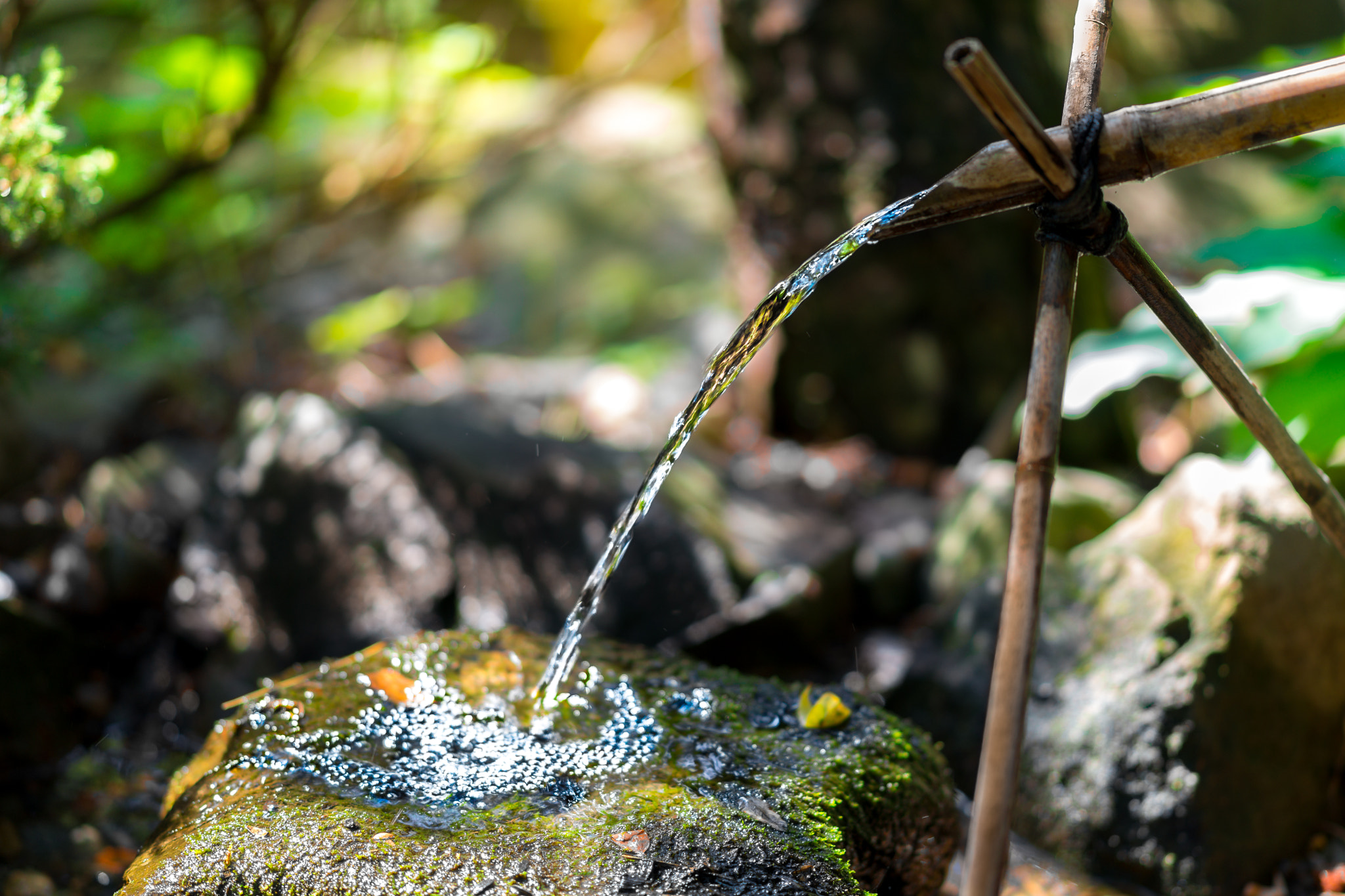 Sony Sonnar T* 135mm F1.8 ZA sample photo. Stream photography