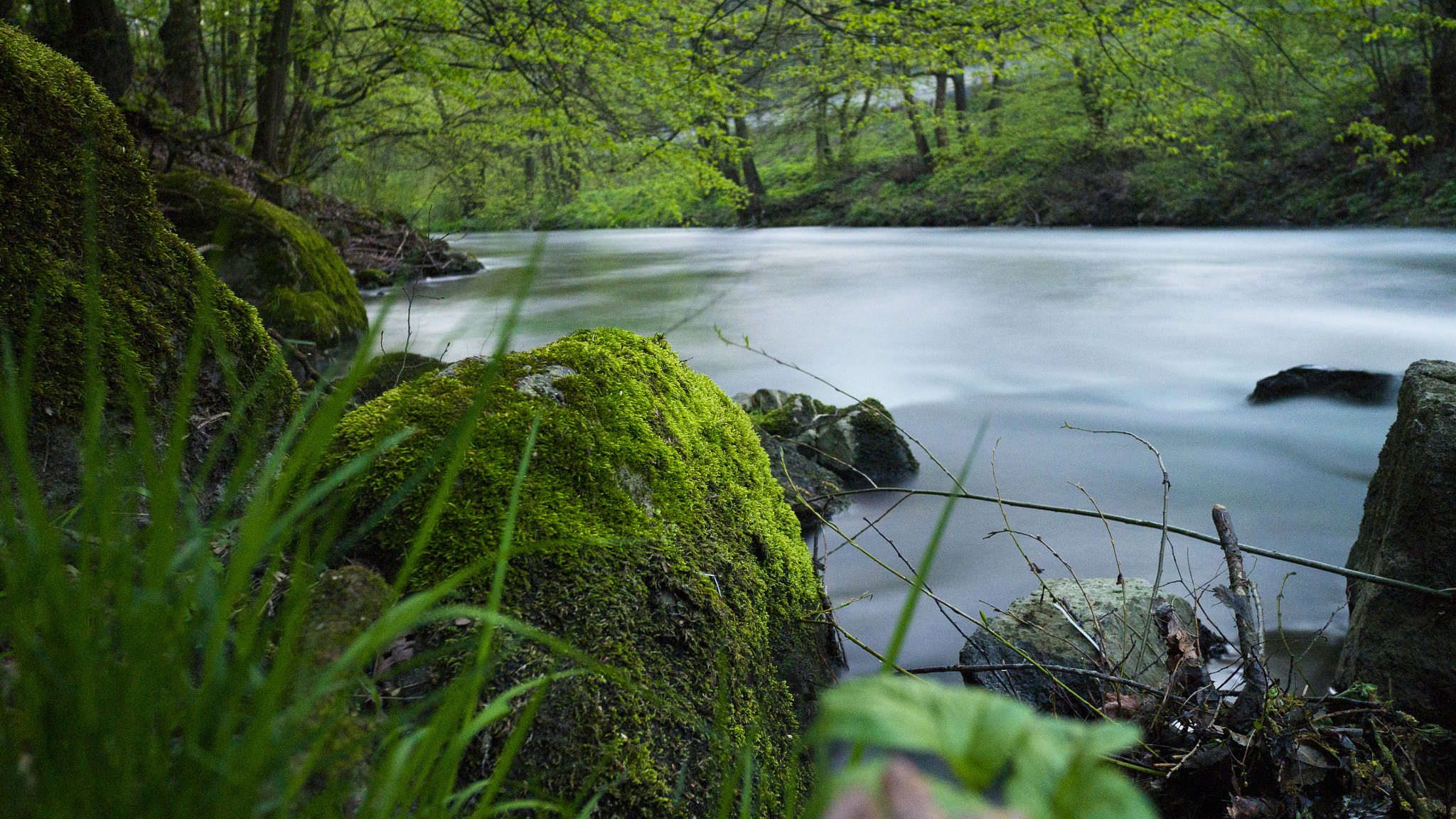 Panasonic Lumix DMC-G7 + LEICA DG SUMMILUX 15/F1.7 sample photo. River in the forest photography