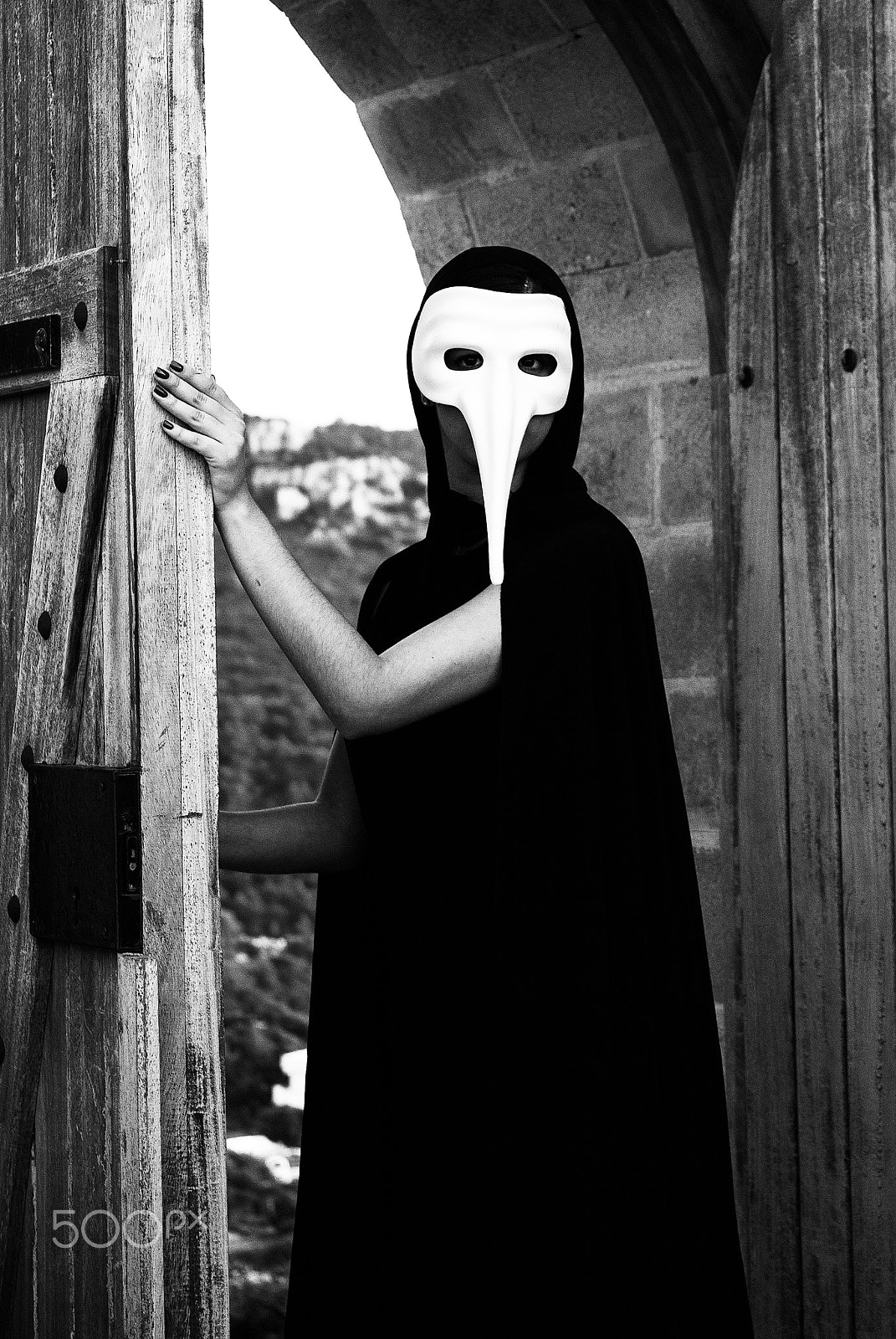 Nikon D60 sample photo. Medieval madness photography
