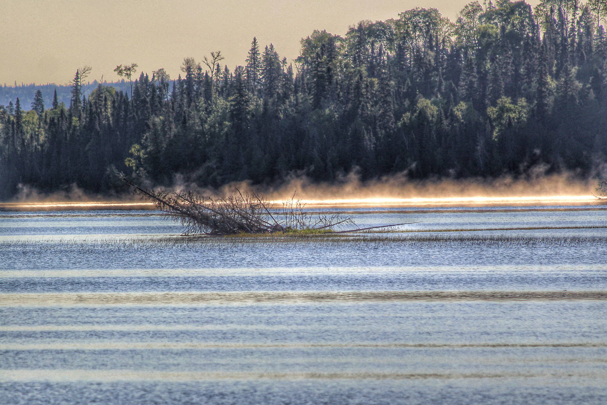 Canon EF 70-300mm F4-5.6 IS USM sample photo. Early morning fog photography