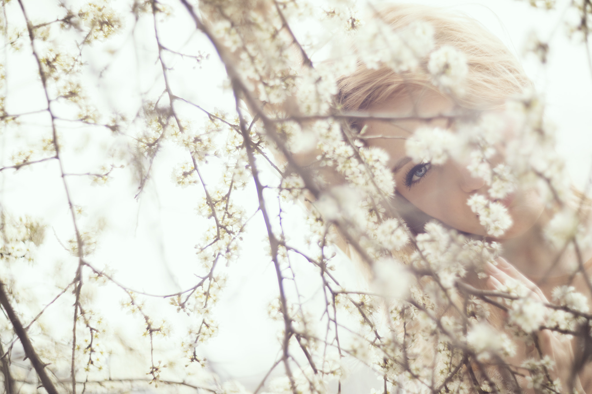 Canon EF 35-80mm f/4-5.6 sample photo. Venus photography