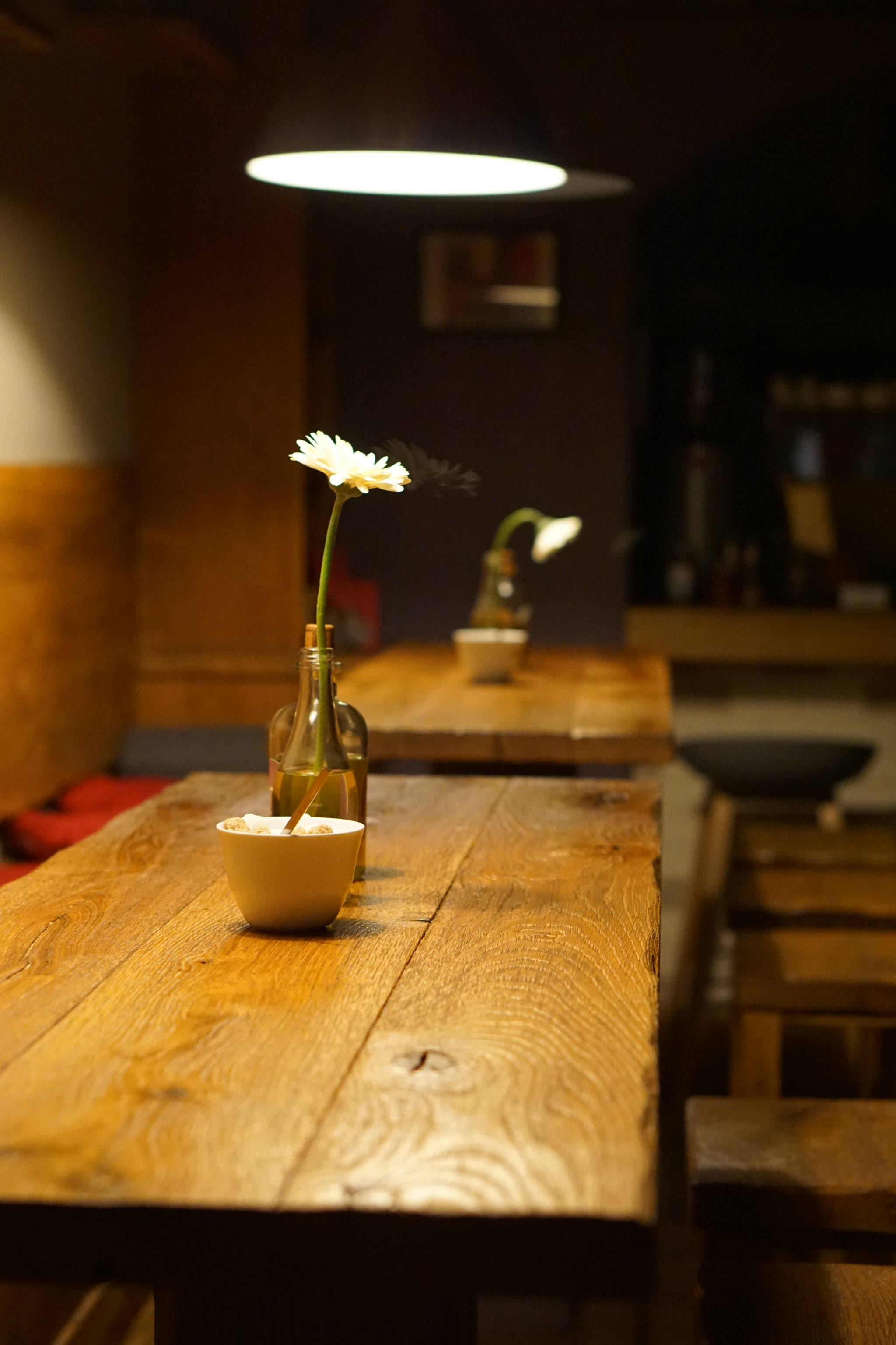 Sony E 50mm F1.8 OSS sample photo. Flower photography