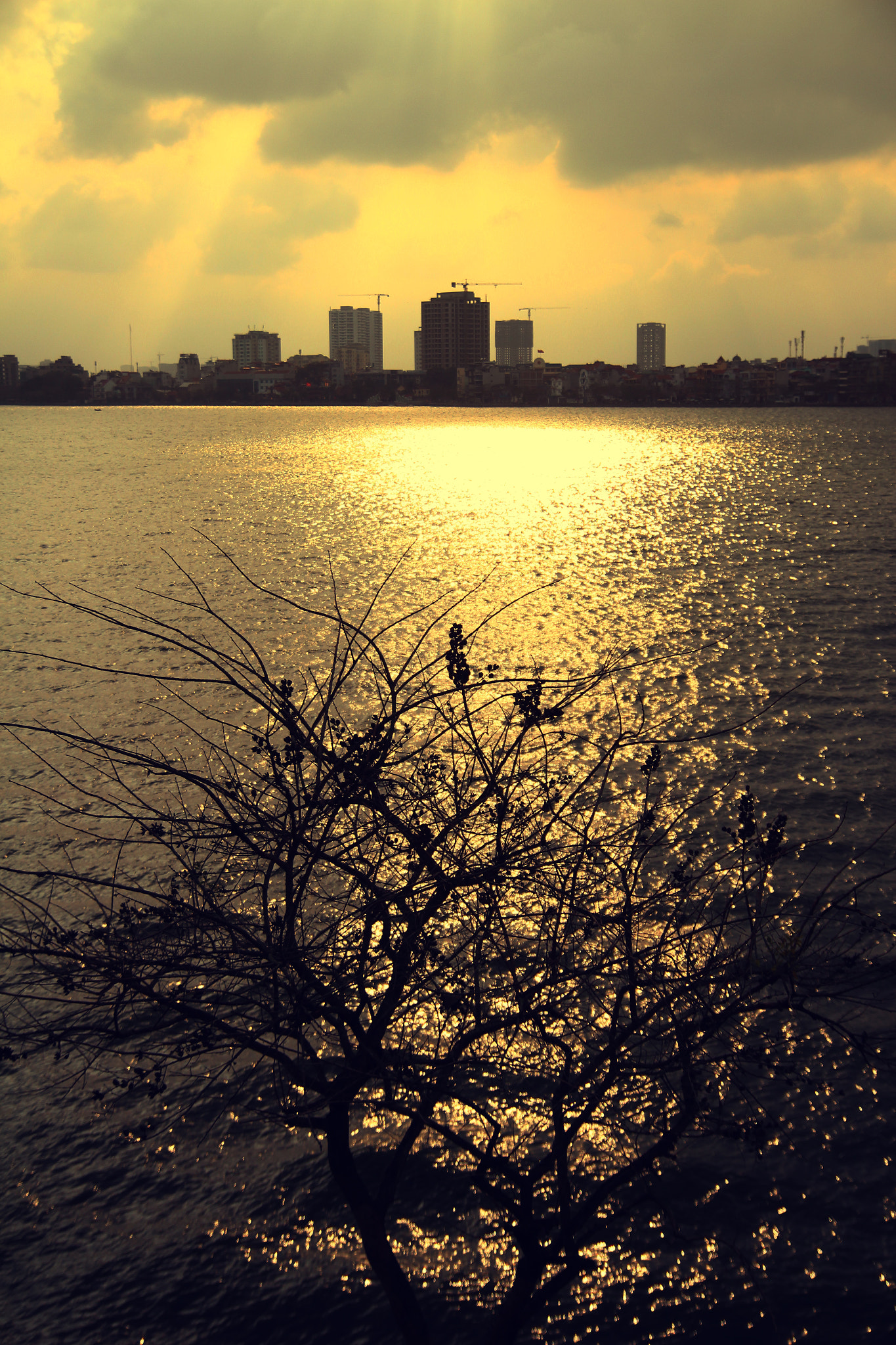 Canon EOS 600D (Rebel EOS T3i / EOS Kiss X5) sample photo. Golden stream photography