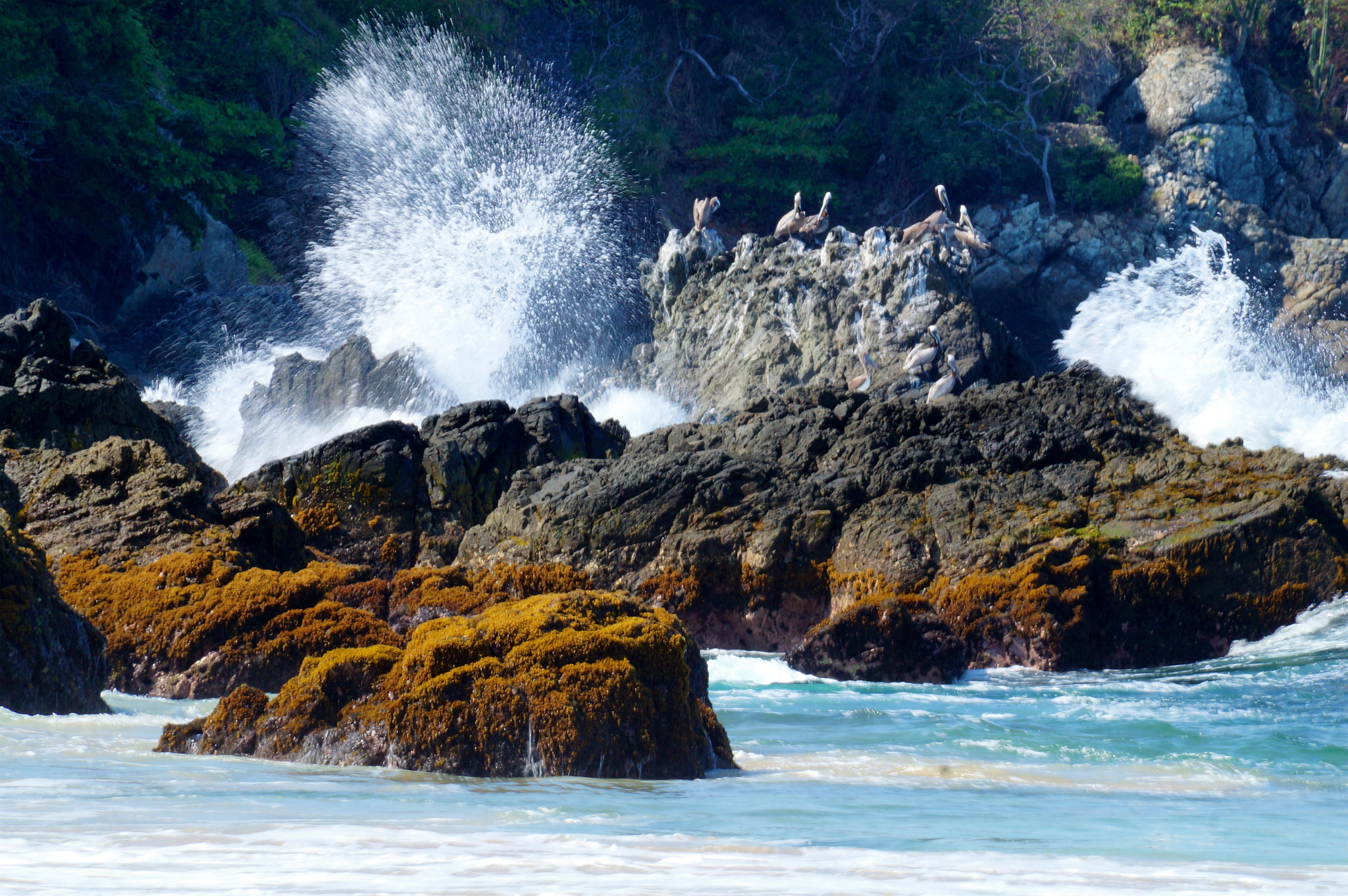 Sony SLT-A37 sample photo. Ixtapa sea 1 photography