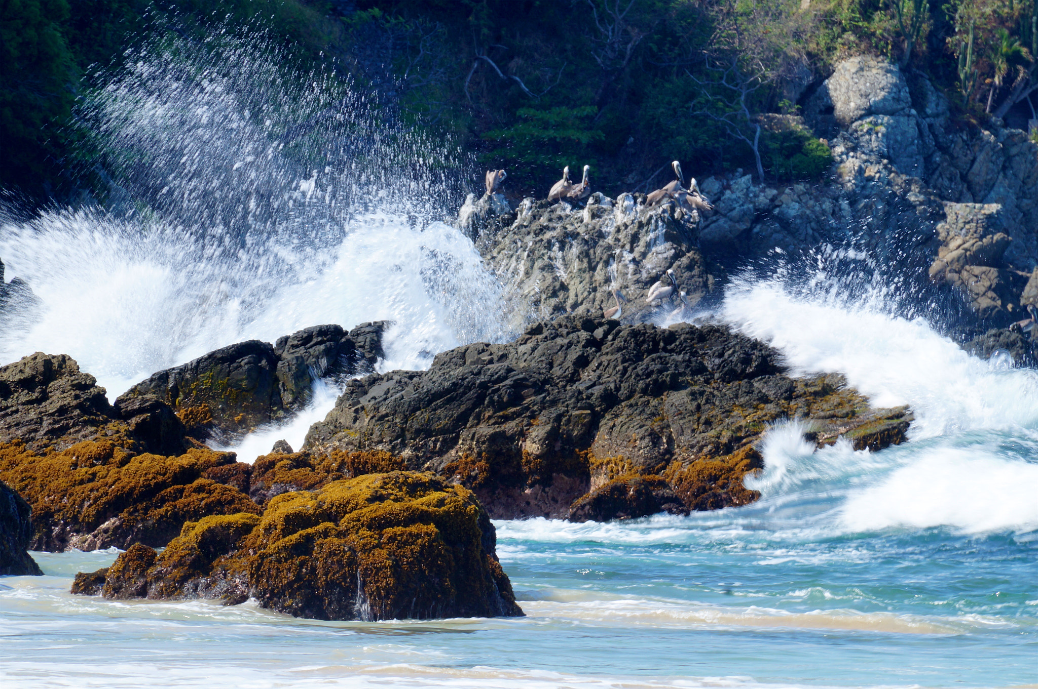 Sony SLT-A37 sample photo. Ixtapa sea 2 photography