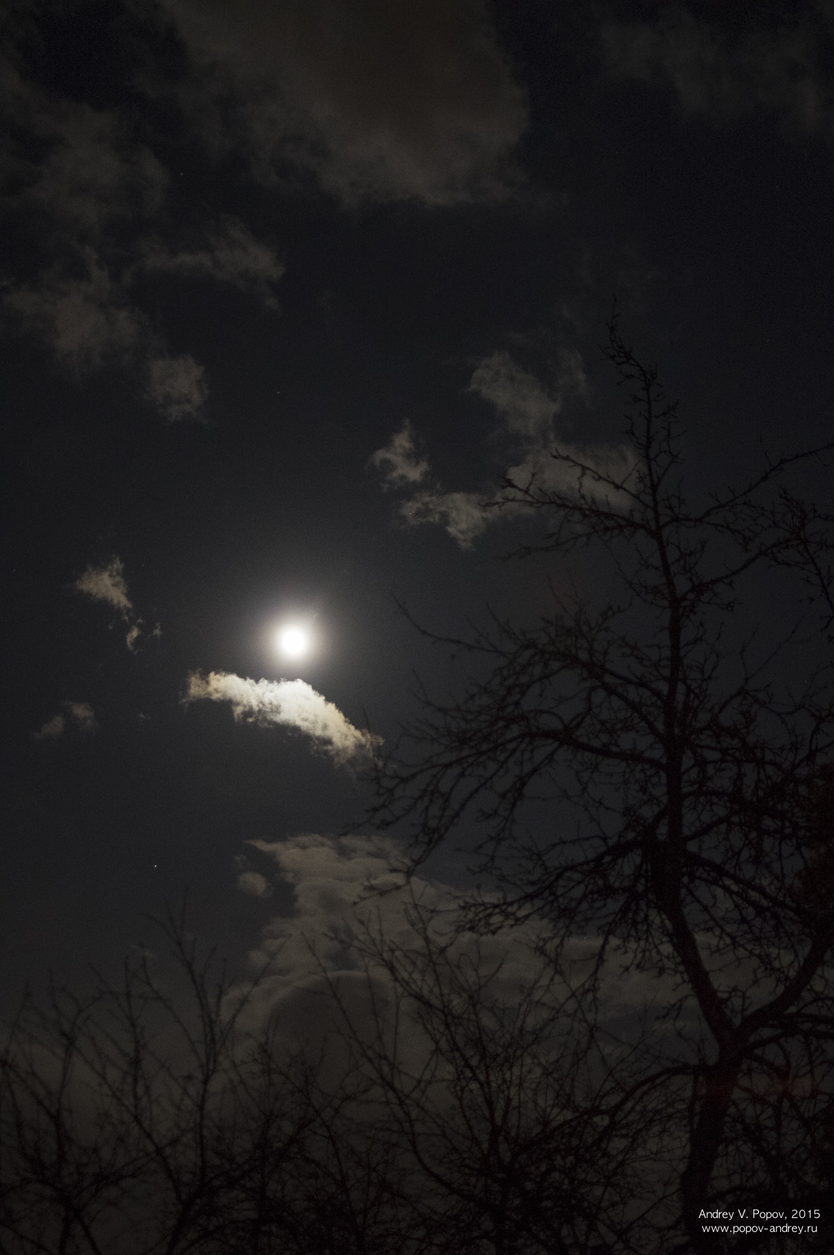Pentax smc FA 31mm F1.8 AL Limited sample photo. Night impression with moon photography