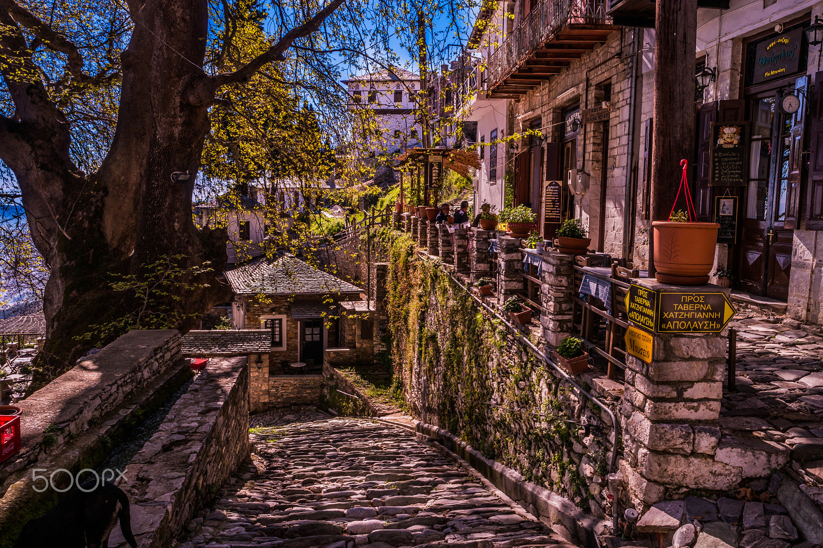 Samsung NX1 sample photo. Makrinitsa photography