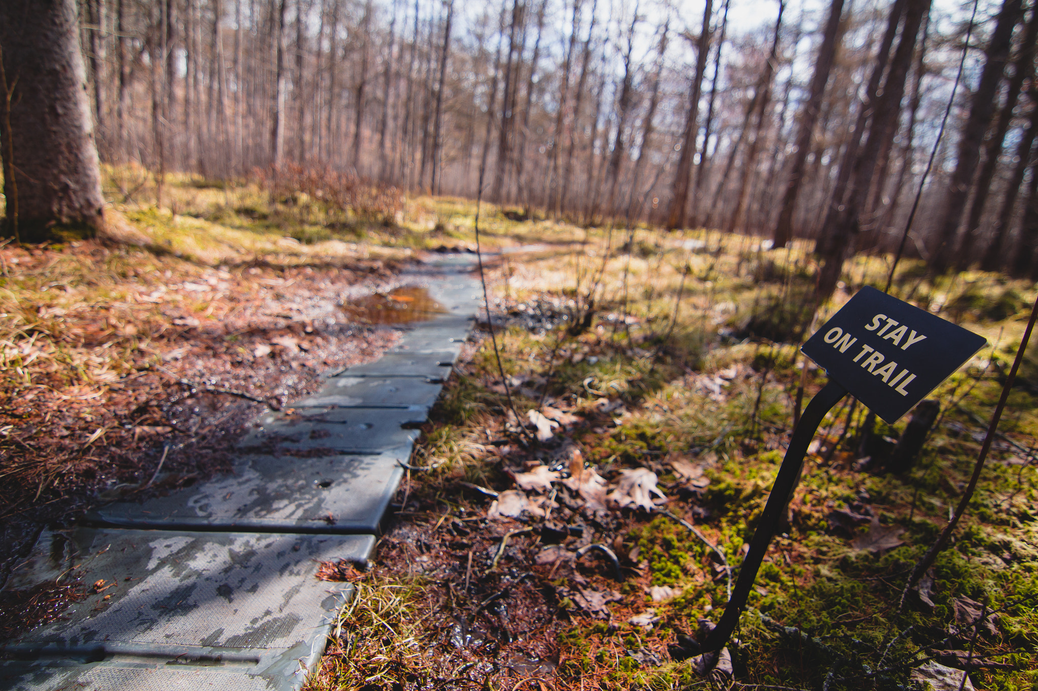 Canon EOS 650D (EOS Rebel T4i / EOS Kiss X6i) sample photo. Trail? what trail? photography