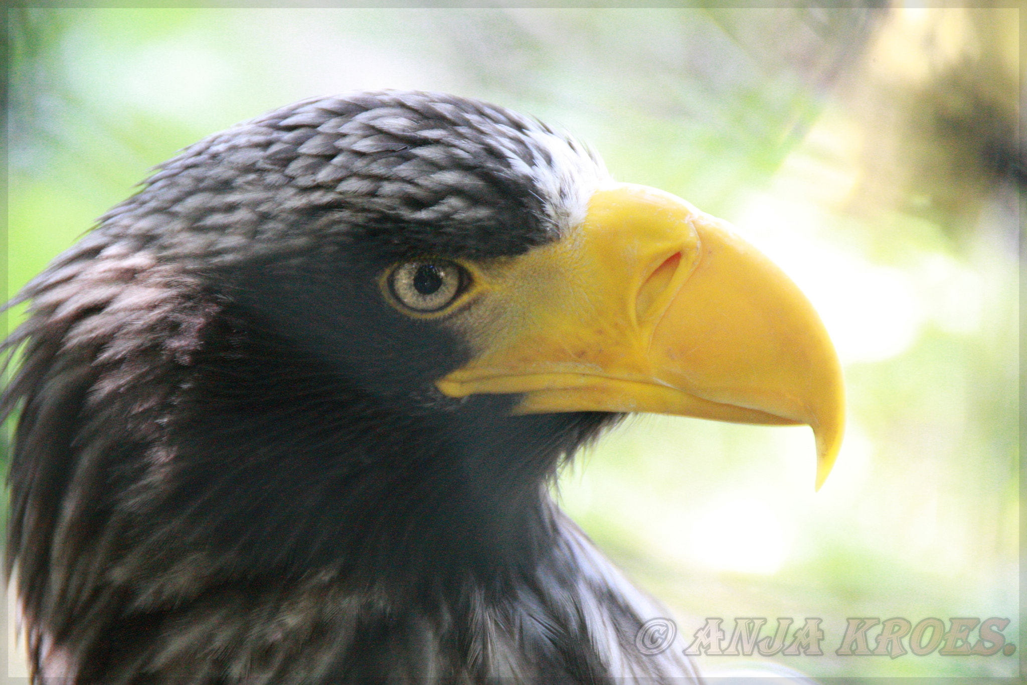 Canon EOS-1D Mark III sample photo