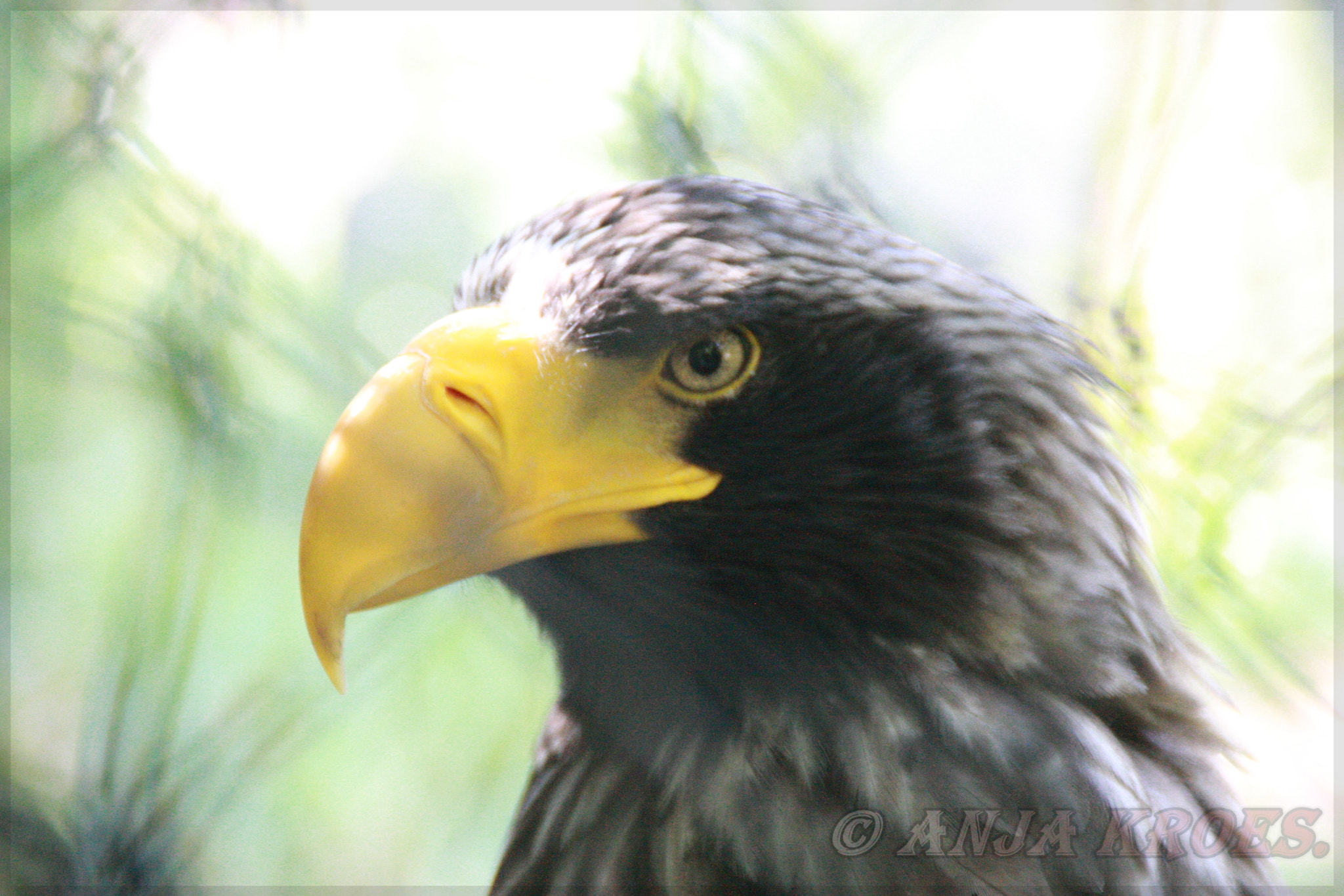 Canon EOS-1D Mark III sample photo