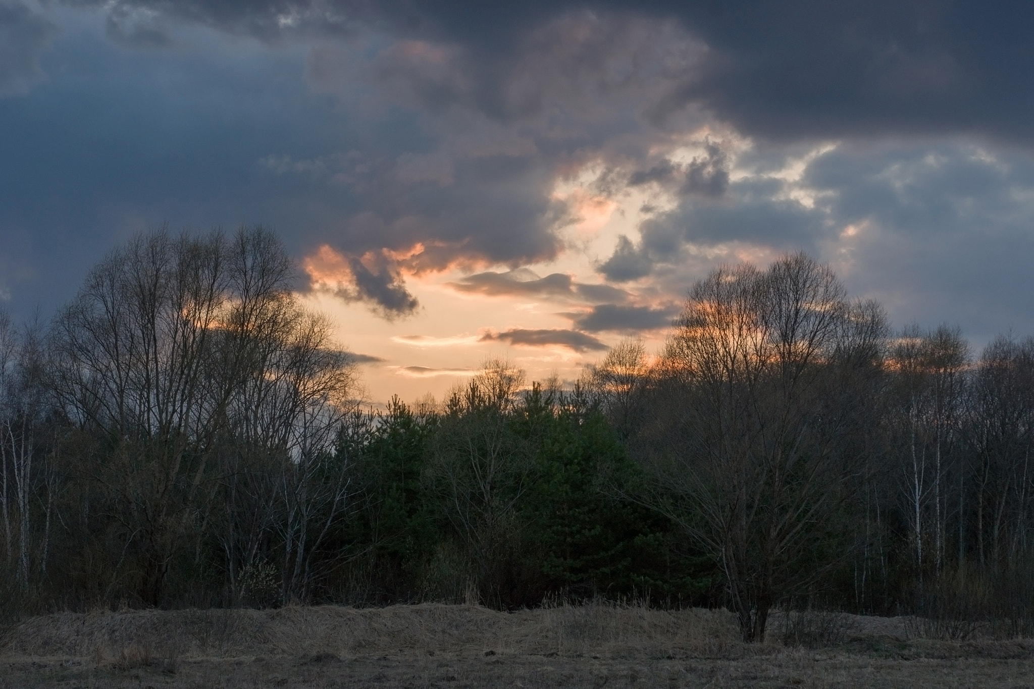 Sony Alpha DSLR-A700 + Sony DT 16-50mm F2.8 SSM sample photo. Cloudy evening photography