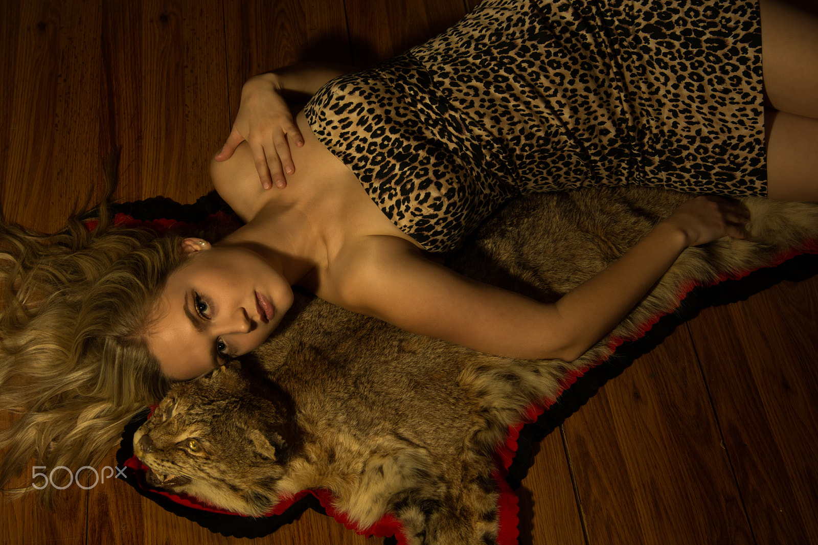 Nikon AF-S Nikkor 24-70mm F2.8E ED VR sample photo. Tia and bobcat! photography