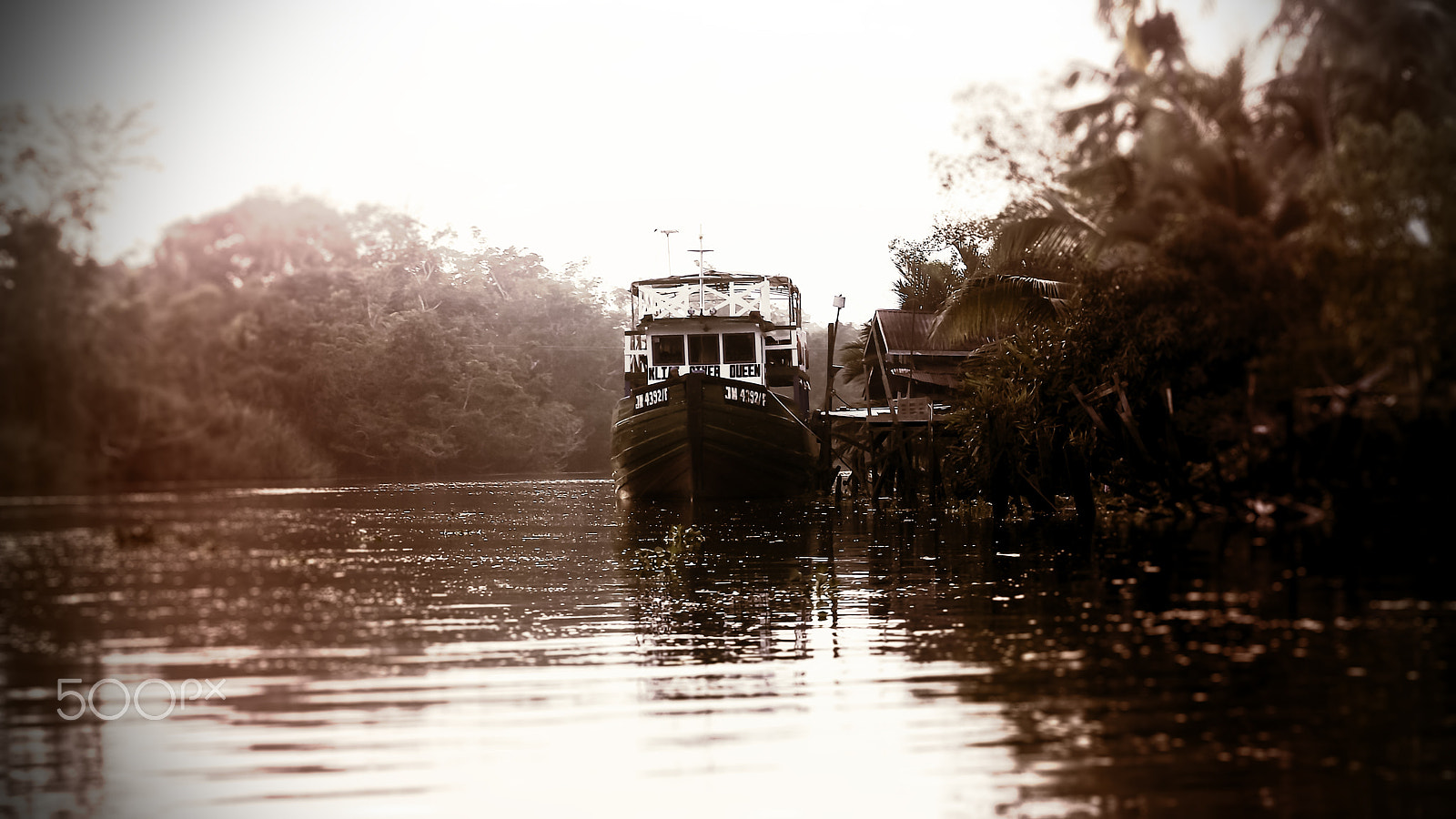 Sony DT 55-300mm F4.5-5.6 SAM sample photo. Pulau tiga / klias river photography
