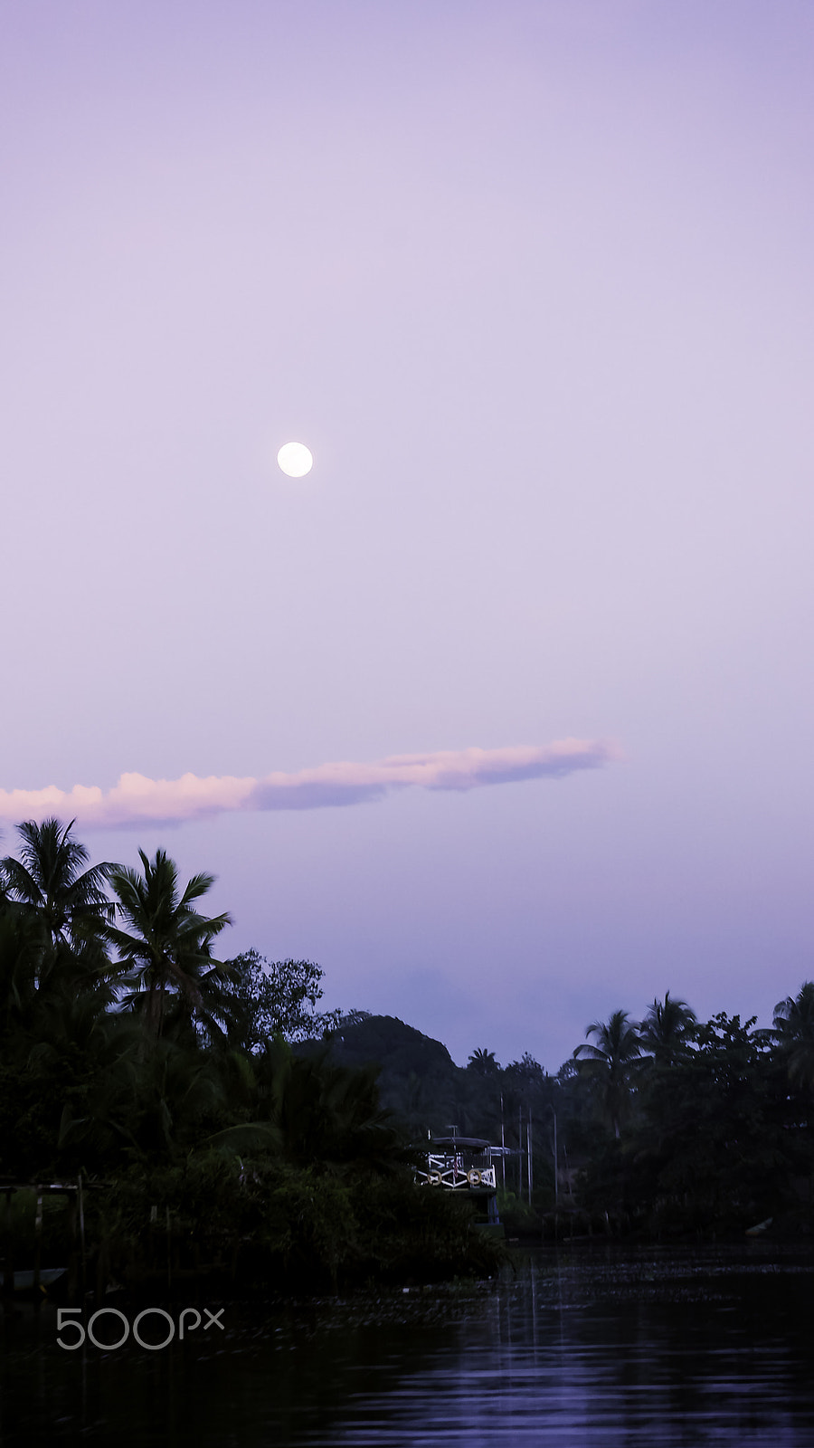 Sony DT 55-300mm F4.5-5.6 SAM sample photo. Pulau tiga / klias river photography