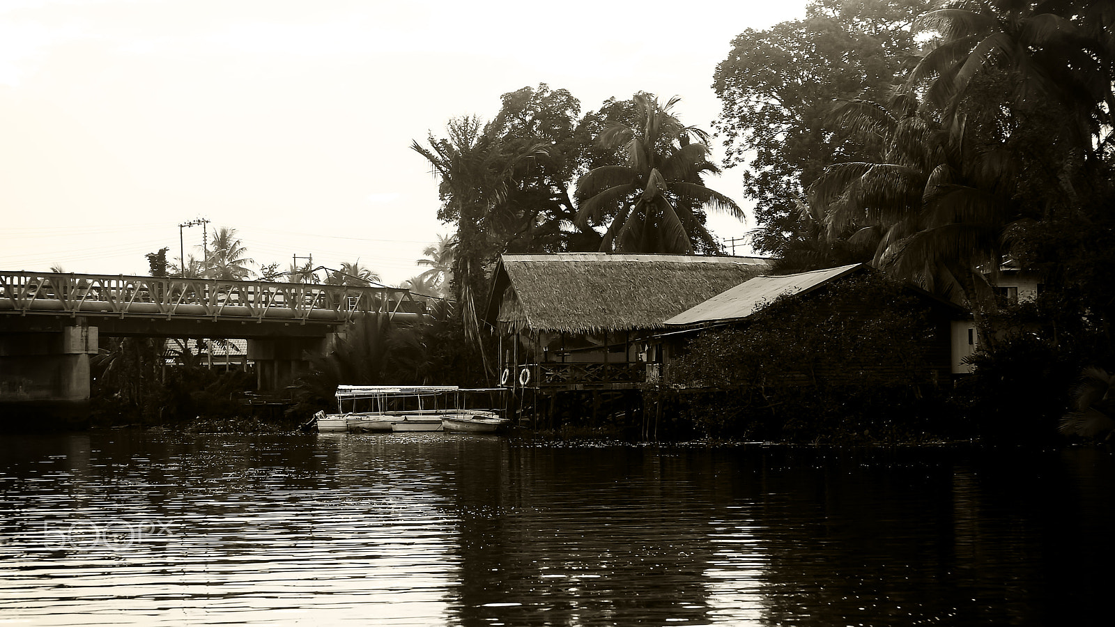 Sony DT 55-300mm F4.5-5.6 SAM sample photo. Pulau tiga / klias river photography