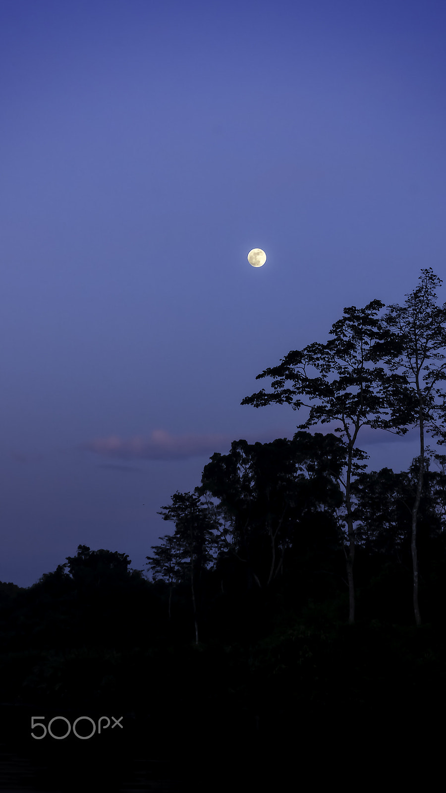 Sony DT 55-300mm F4.5-5.6 SAM sample photo. Pulau tiga / klias river photography