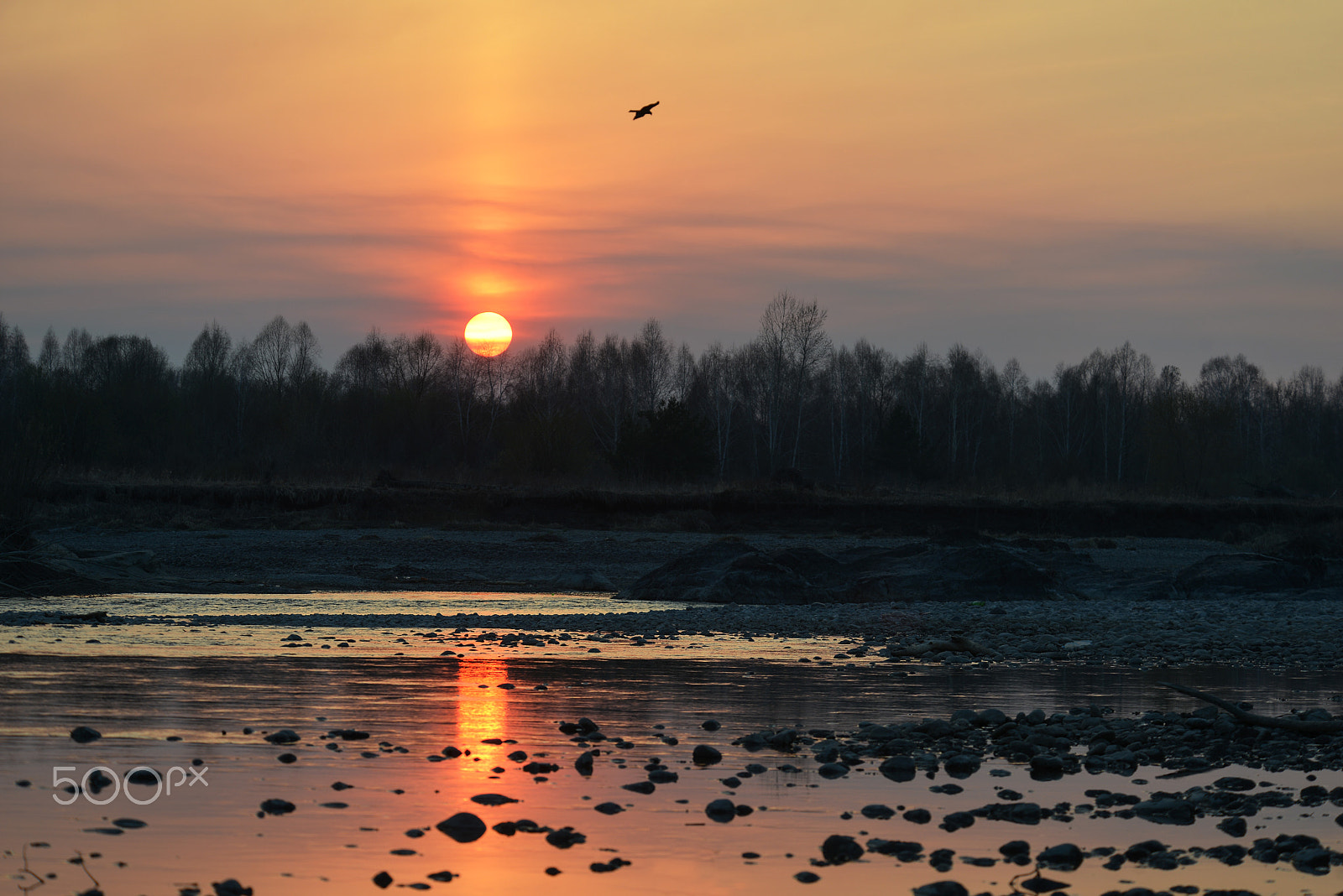 Nikon D800E sample photo. Закат, река Катунь photography