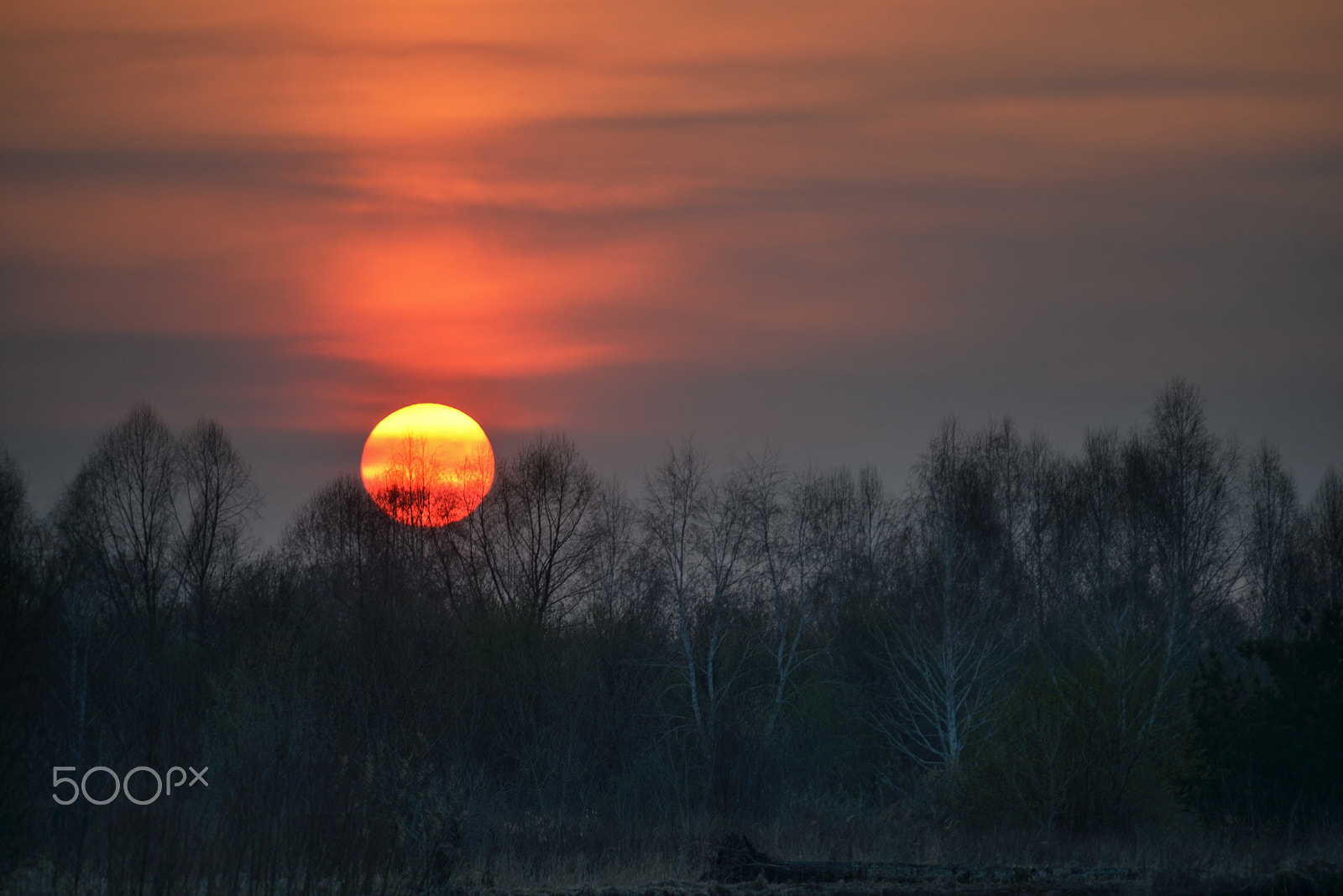 Nikon D800E sample photo. Закат на Телецком photography