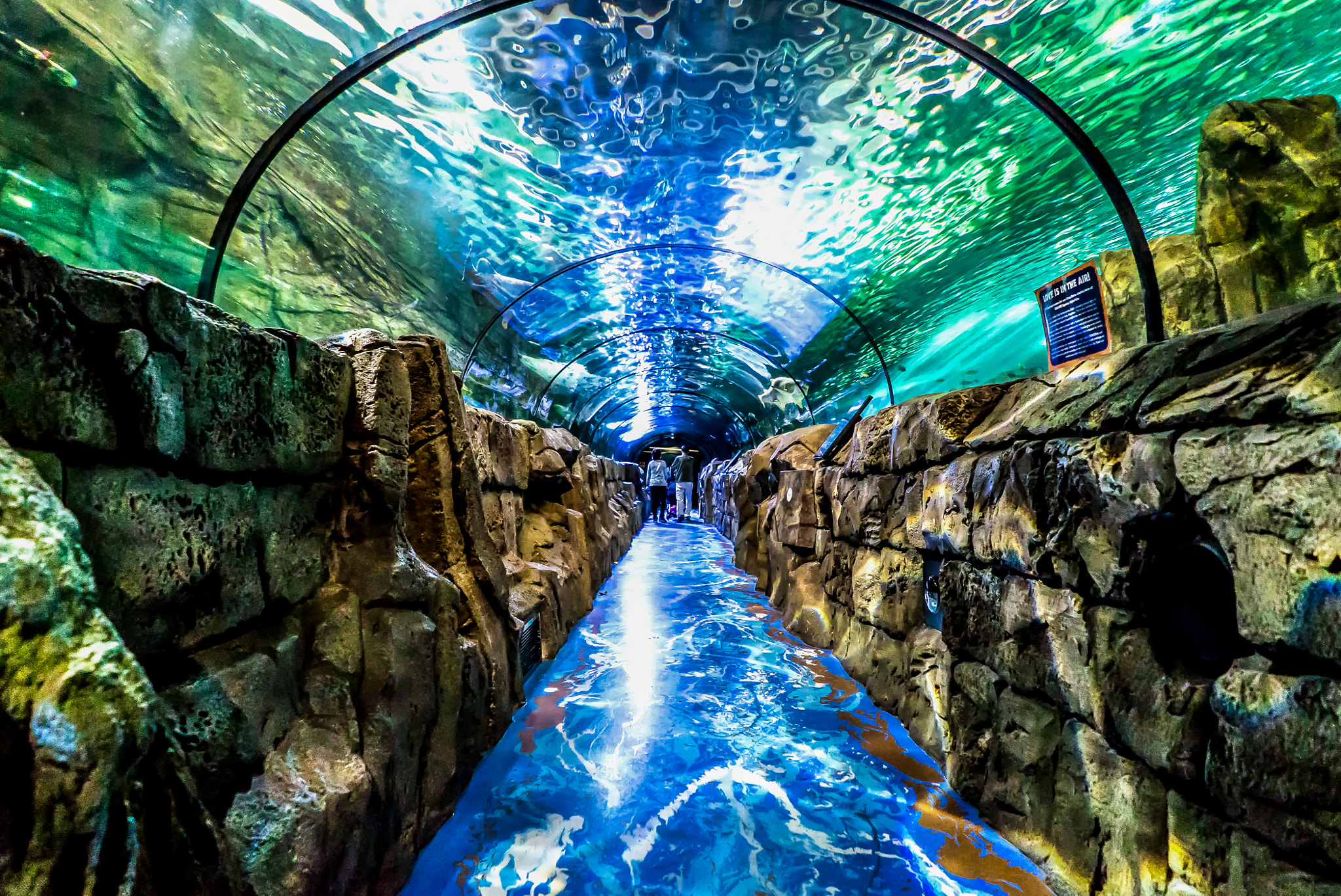 Sony a7S II + Sony FE 28mm F2 sample photo. Sydney aquarium photography