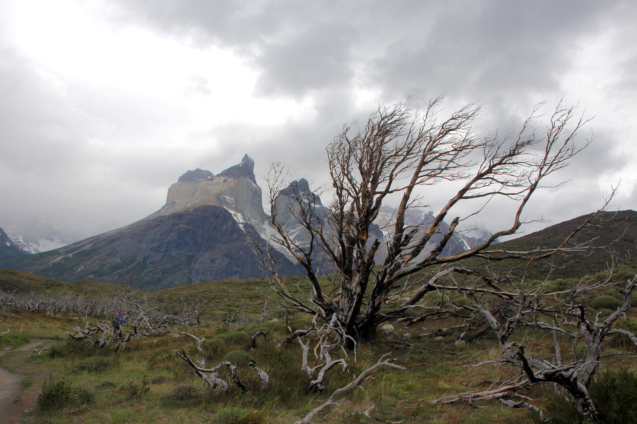 Canon EOS 700D (EOS Rebel T5i / EOS Kiss X7i) + Canon 18-270mm sample photo. Los cuernos in torres del paine national park, patagonia  chile photography