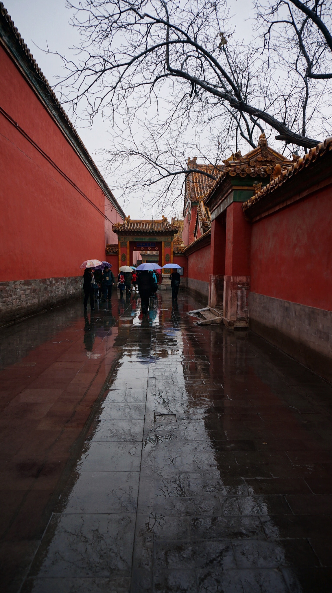 Sony Alpha NEX-5R sample photo. 冬雨故宫 photography