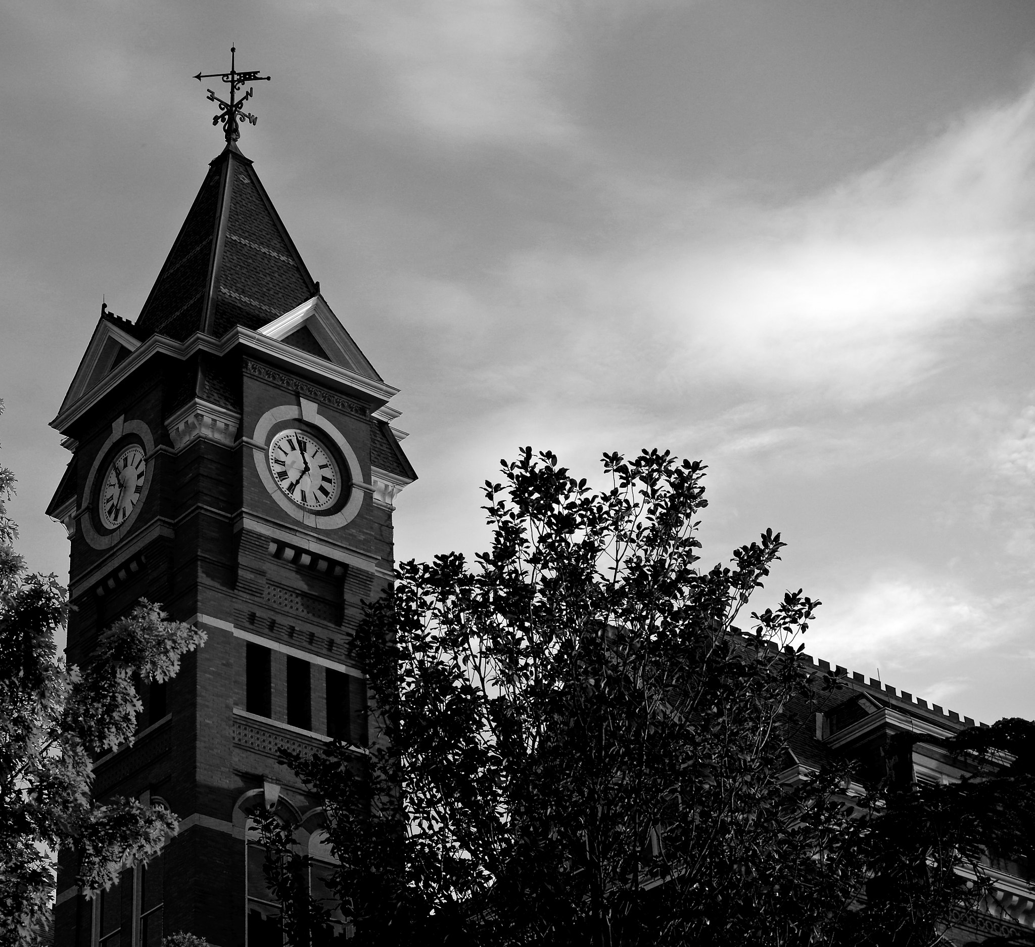 Pentax K-3 sample photo. Samford photography
