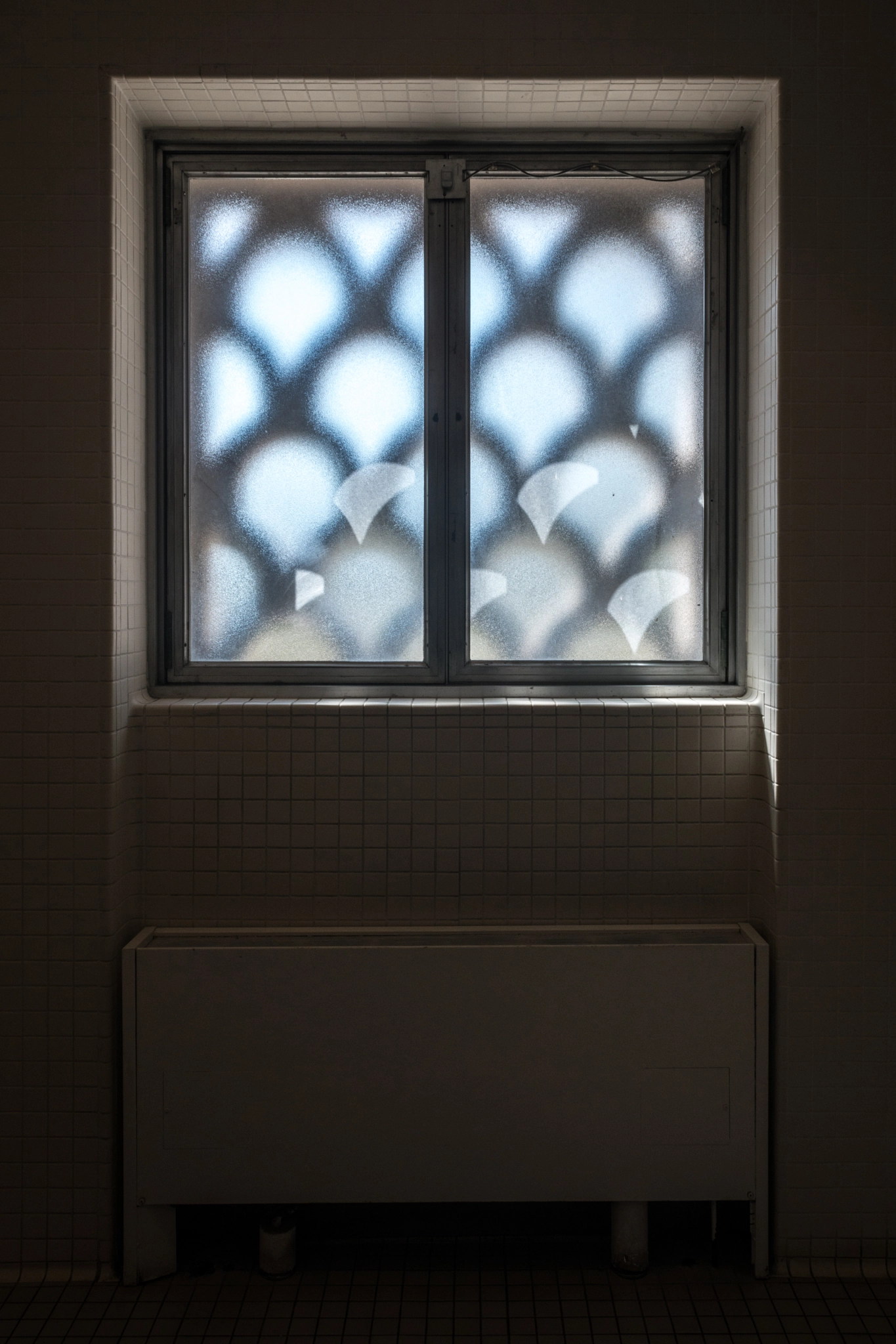 Nikon D800 + AF Nikkor 24mm f/2.8 sample photo. Nga window photography