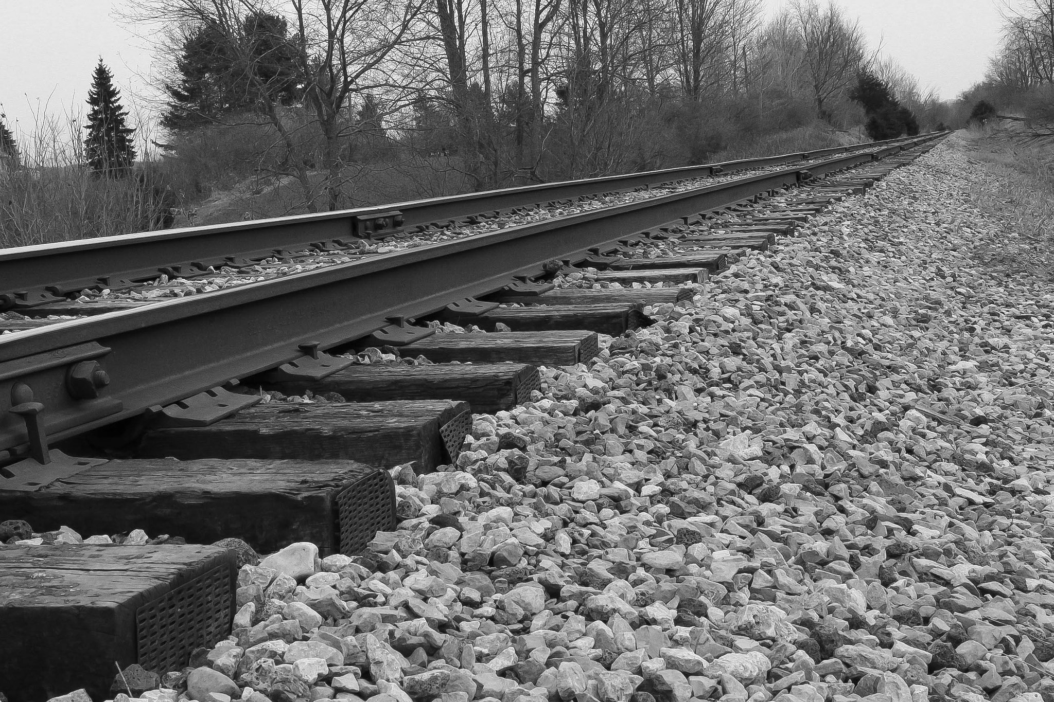 Canon EOS 100D (EOS Rebel SL1 / EOS Kiss X7) sample photo. Tracks photography