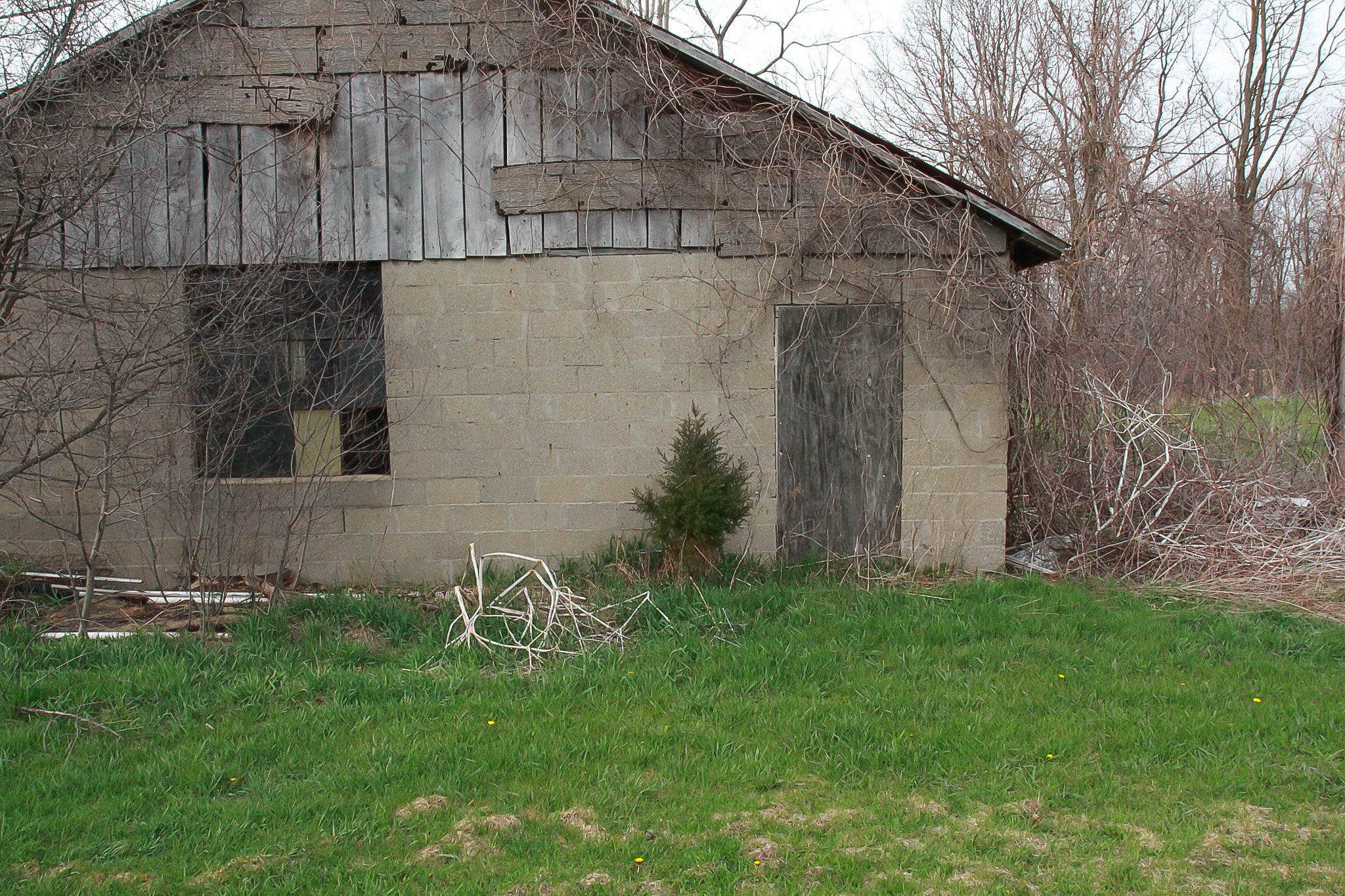 Canon EOS 100D (EOS Rebel SL1 / EOS Kiss X7) sample photo. Abandoned photography
