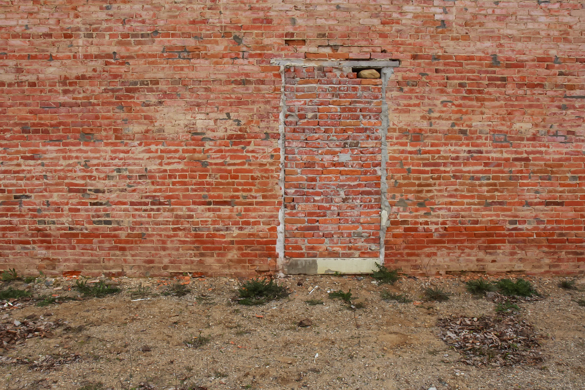 Canon EOS 100D (EOS Rebel SL1 / EOS Kiss X7) sample photo. What used to be. photography