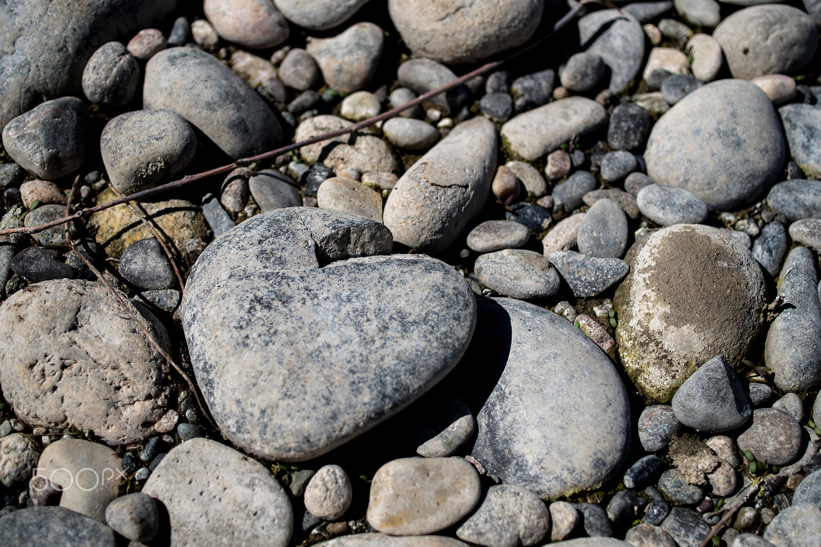 Pentax K-S2 + HD Pentax DA 35mm F2.8 Macro Limited sample photo. Heart of stone photography