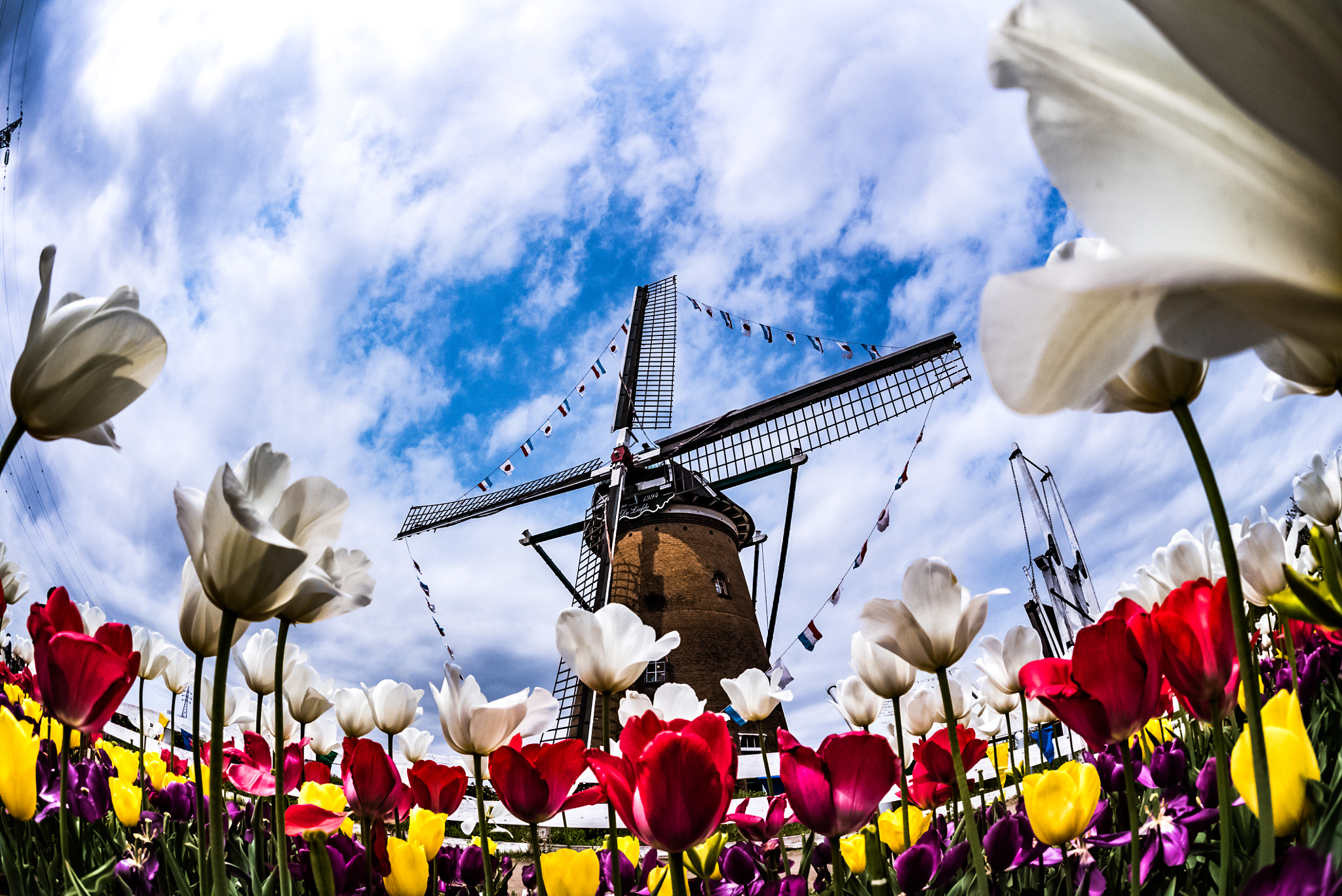 Sony a7S II + Sony 16mm F2.8 Fisheye sample photo. Windmill photography