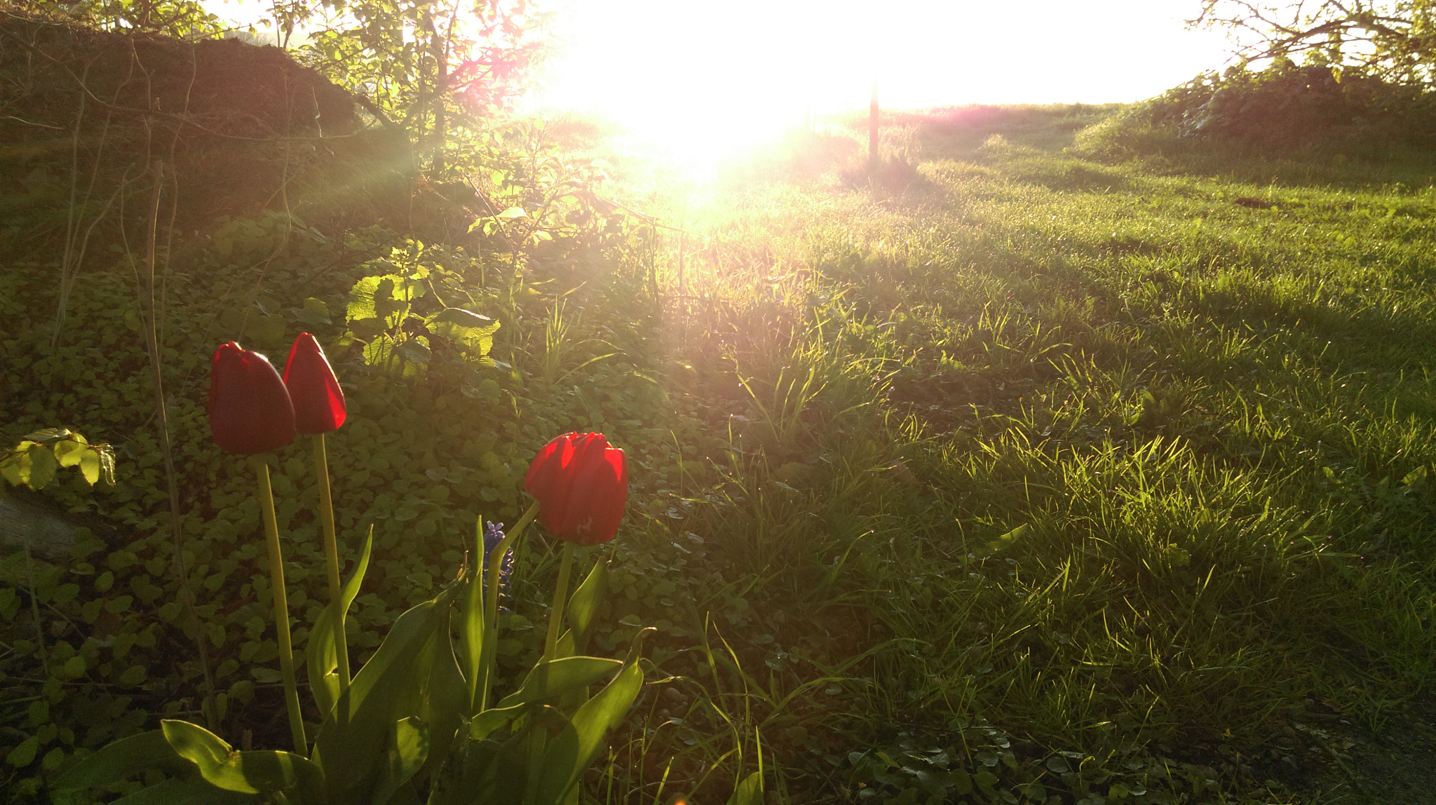 HTC ONE MINI 2 sample photo. First daylight photography