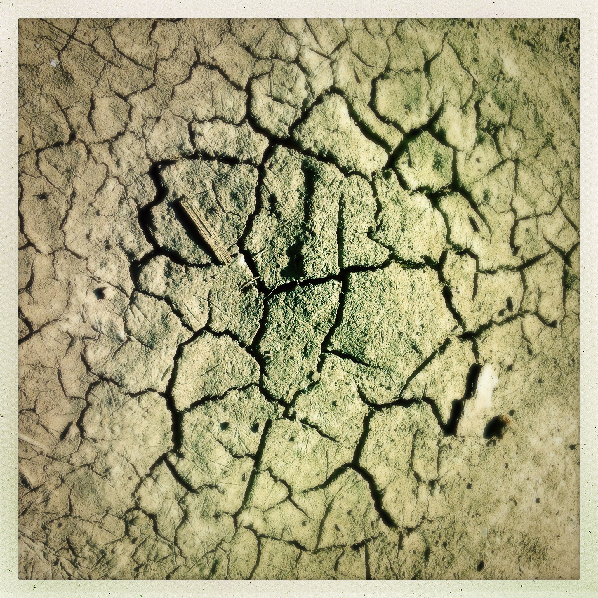 Hipstamatic 311 sample photo. The earth provides such great textures. photography