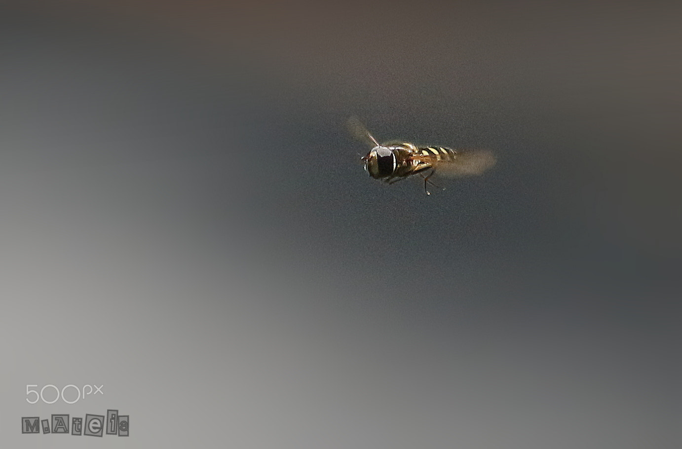 Canon EOS 100D (EOS Rebel SL1 / EOS Kiss X7) sample photo. Freez :d photography