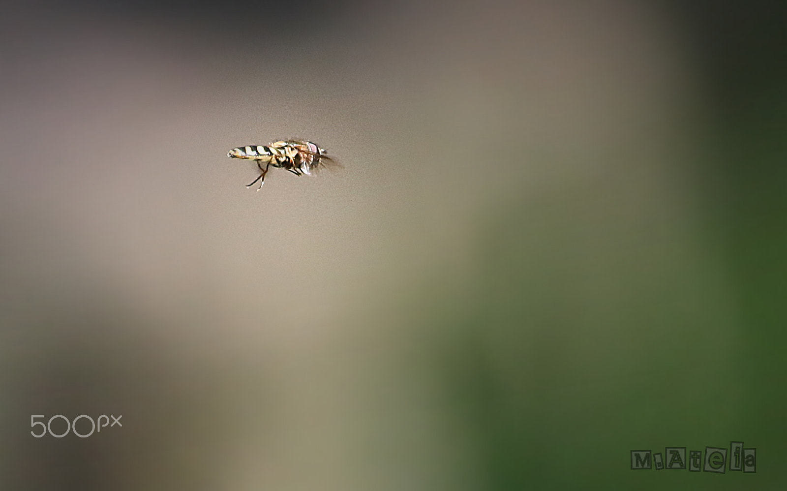 Canon EOS 100D (EOS Rebel SL1 / EOS Kiss X7) sample photo. Freez :d photography