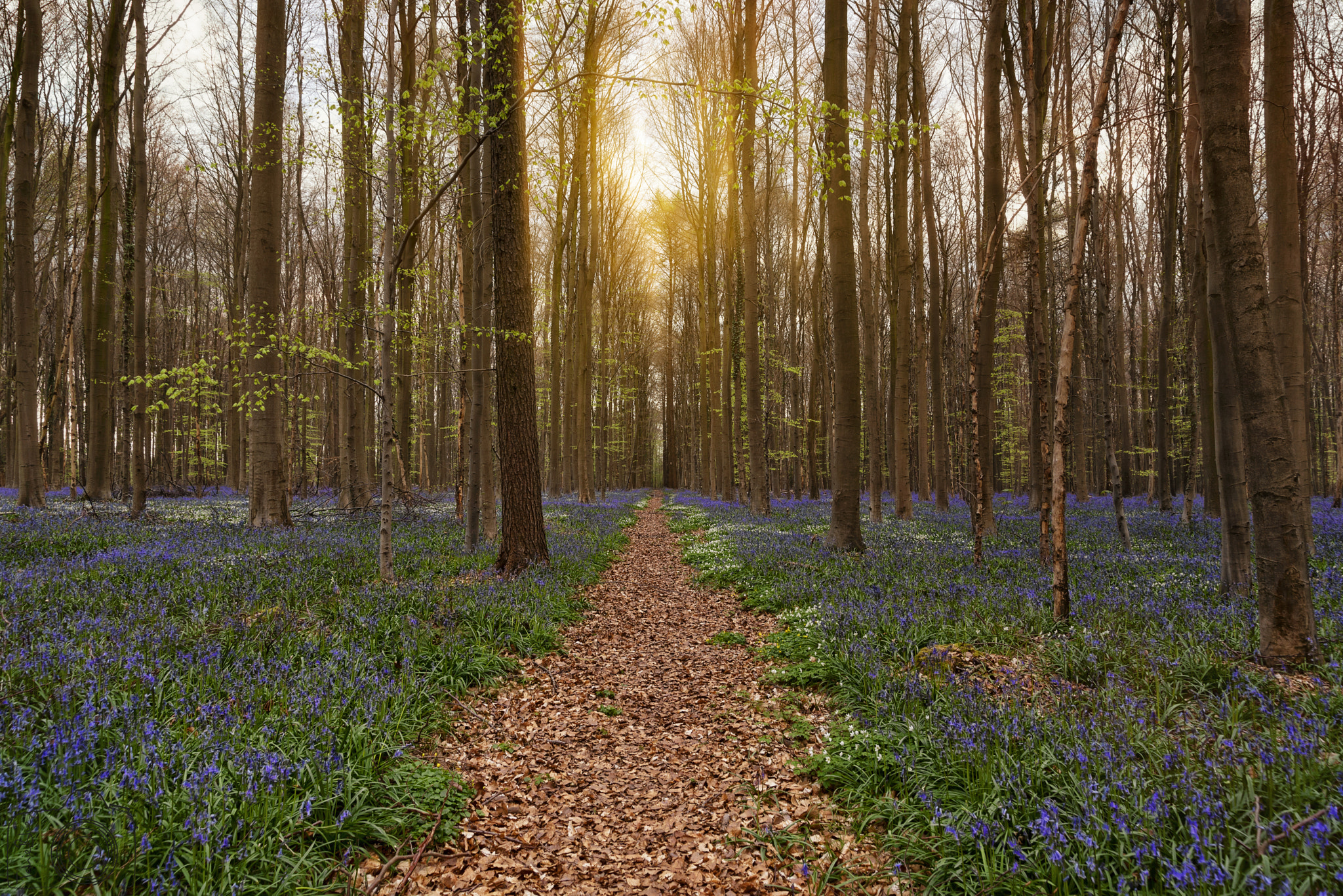 Sigma 24-105mm f/4 DG OS HSM | A sample photo. ☼ ☼ ☼ photography