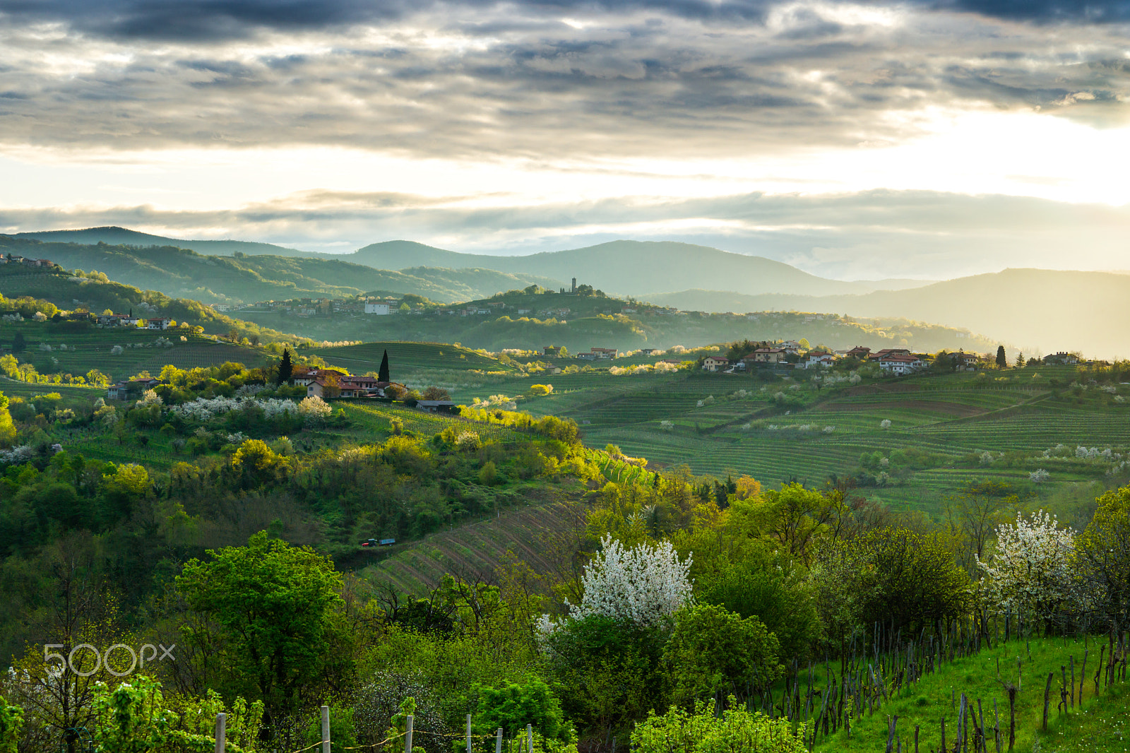 Sony a99 II + Sony 70-400mm F4-5.6 G SSM sample photo. Goriška brda photography