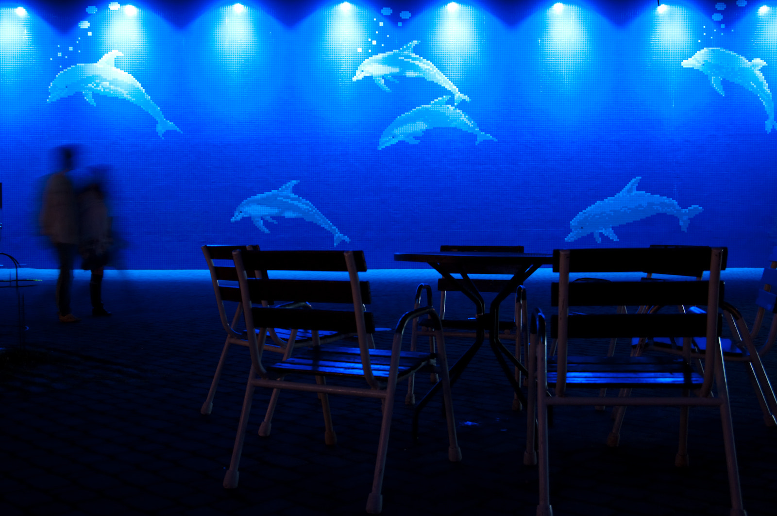 Pentax smc DA 16-45mm F4 ED AL sample photo. Dolphin night photography
