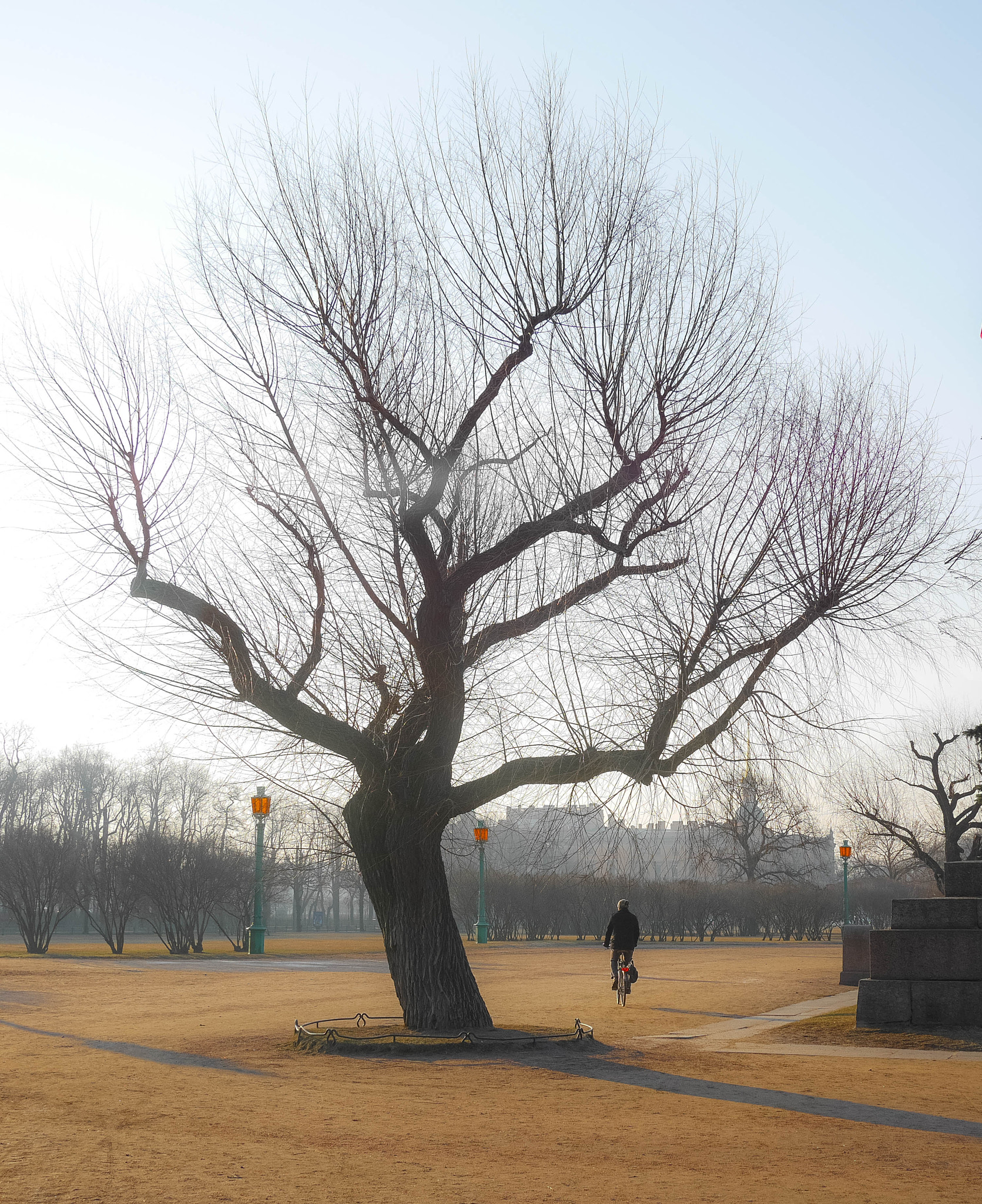 Panasonic Lumix DMC-GX7 + Panasonic Lumix G 20mm F1.7 ASPH sample photo. 26519279356.jpg photography