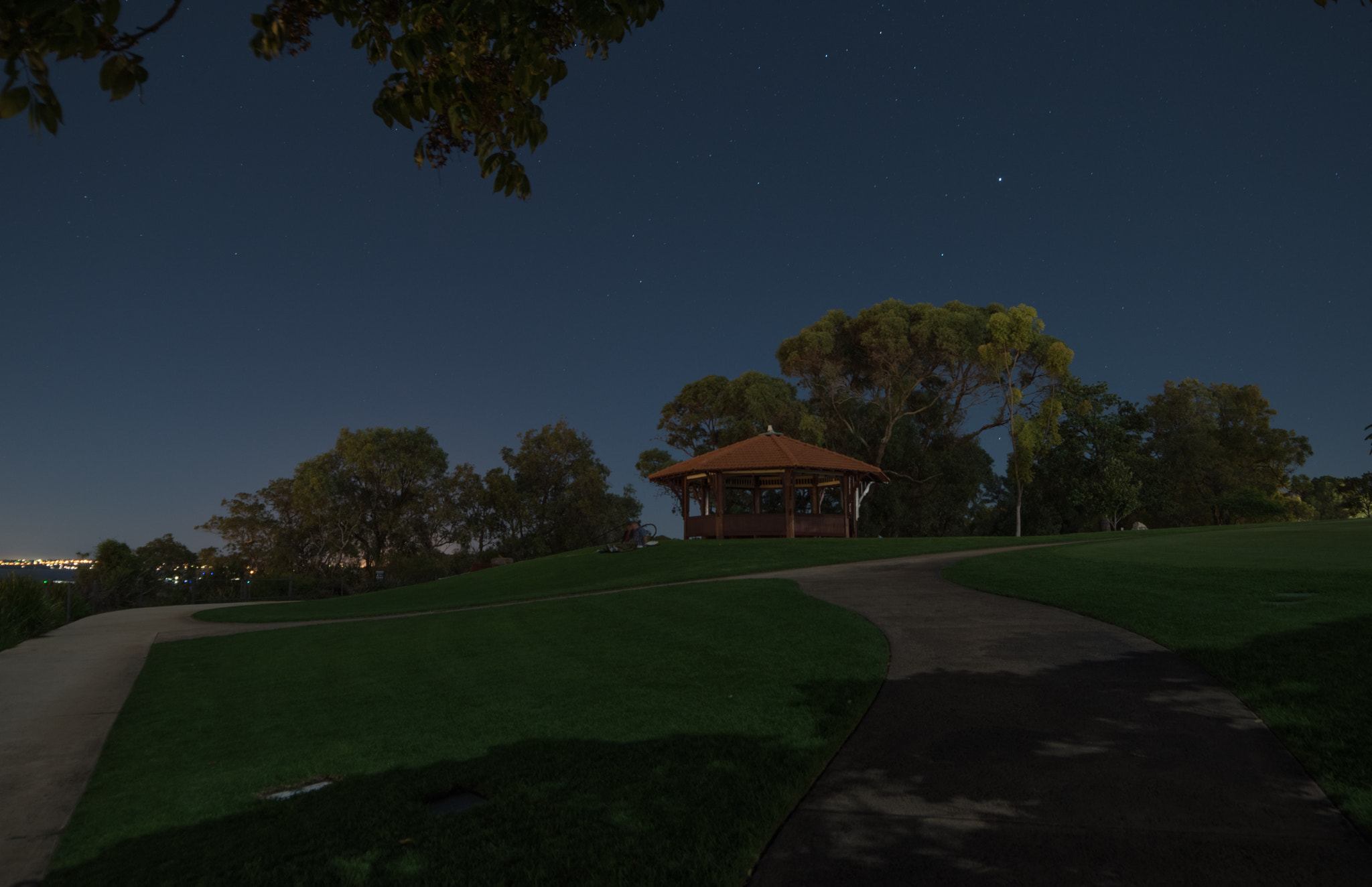 Samyang 14mm F2.8 ED AS IF UMC sample photo. Kings park photography