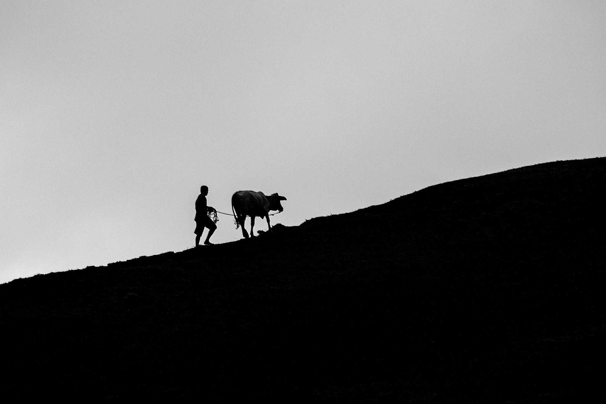 Canon EF 100-300mm F4.5-5.6 USM sample photo. Up the hill photography