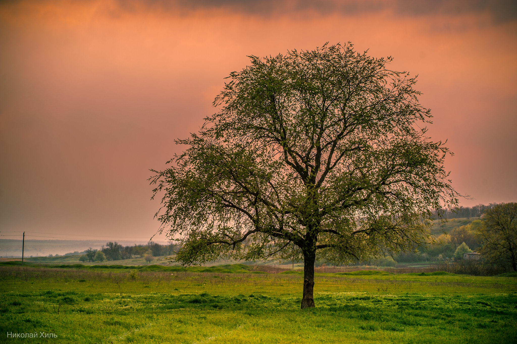Sigma APO 170-500mm F5-6.3 Aspherical RF sample photo. After the rain photography