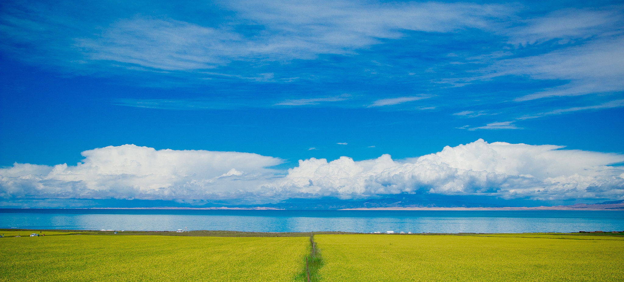 Canon EF 24mm F1.4L II USM sample photo. 青海湖畔 photography