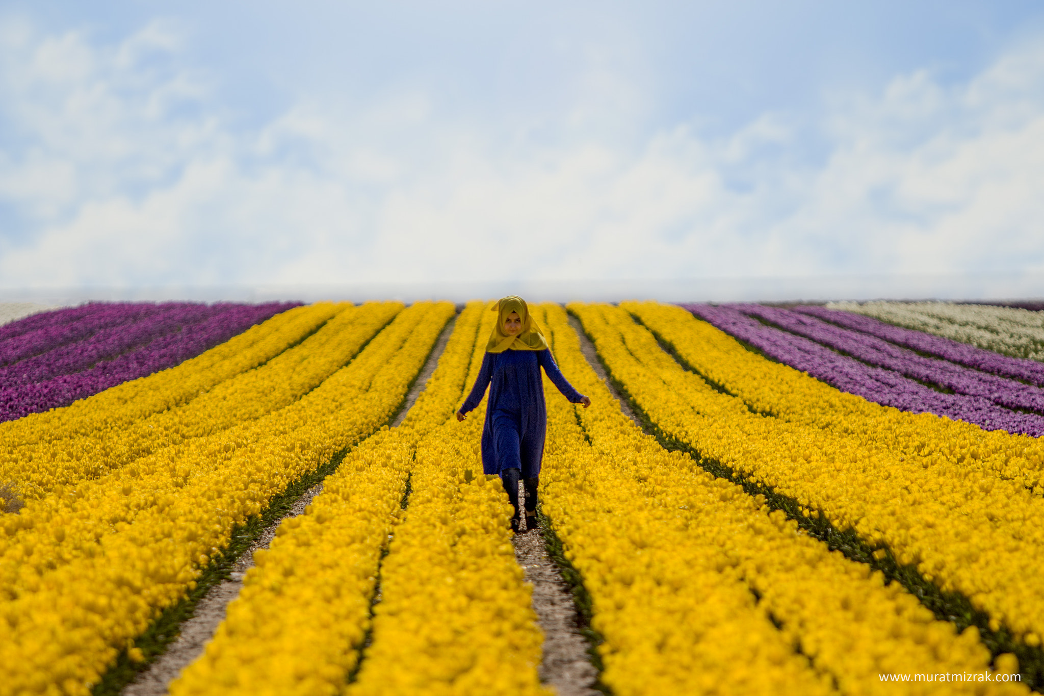 Canon EF 70-200mm F2.8L USM sample photo. Yellow tulip in the tulip fields photography
