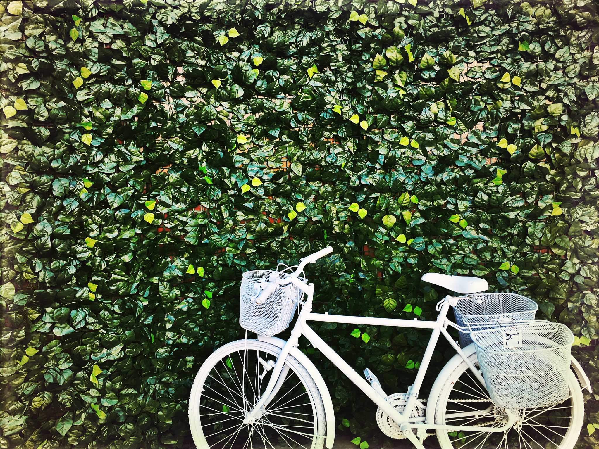 Hipstamatic 311 sample photo. The white bike photography