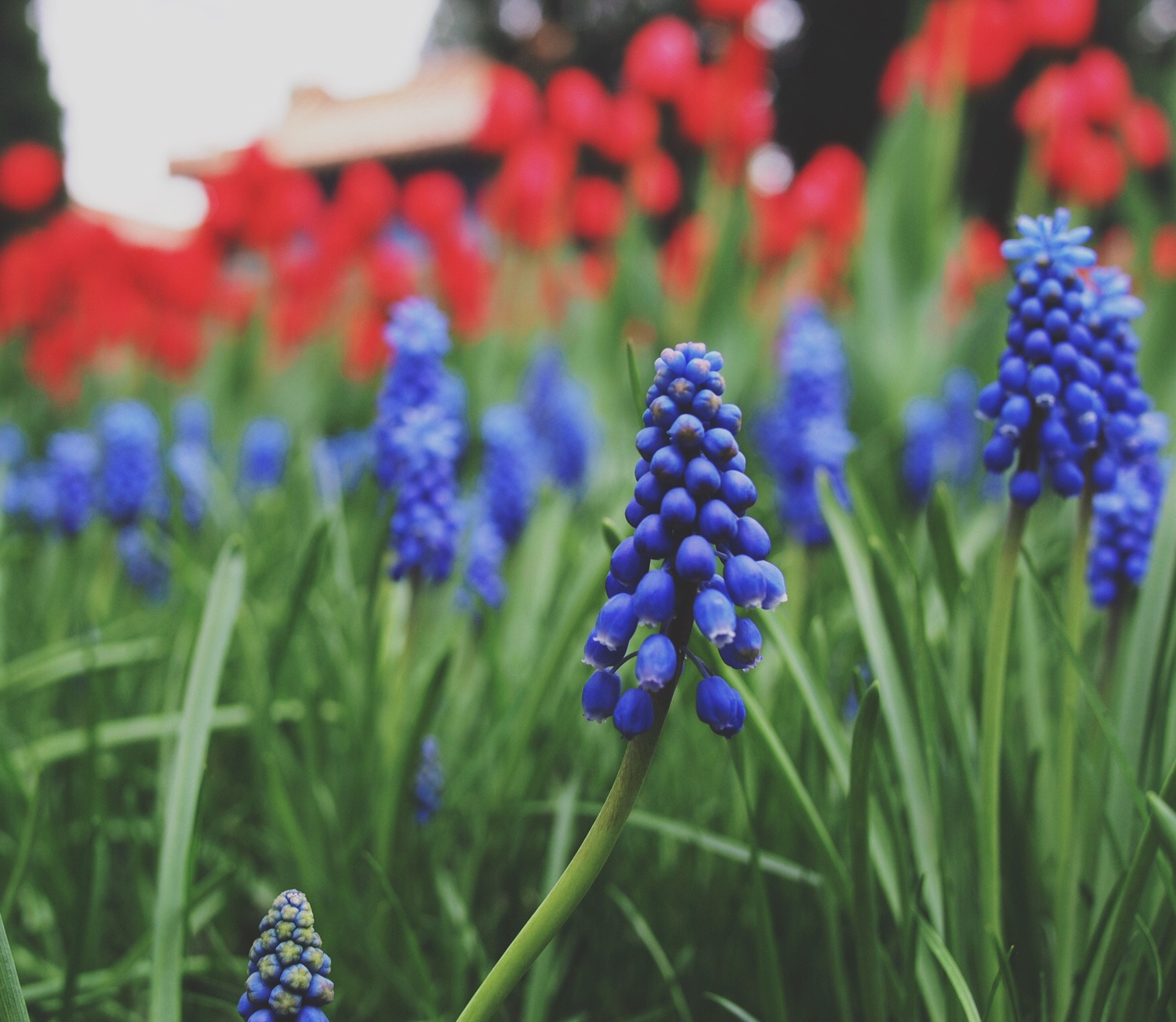 Olympus PEN E-P5 + Panasonic Lumix G 20mm F1.7 ASPH sample photo