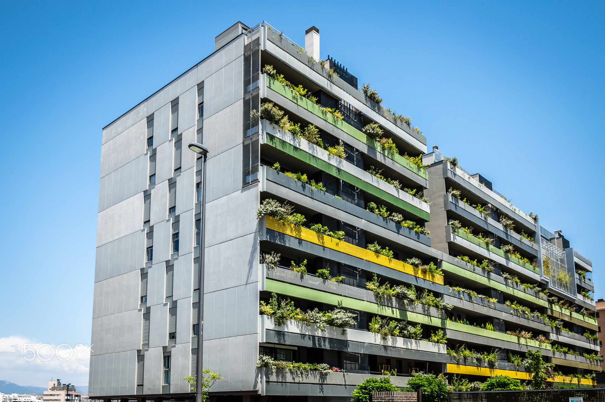 Green modern housing